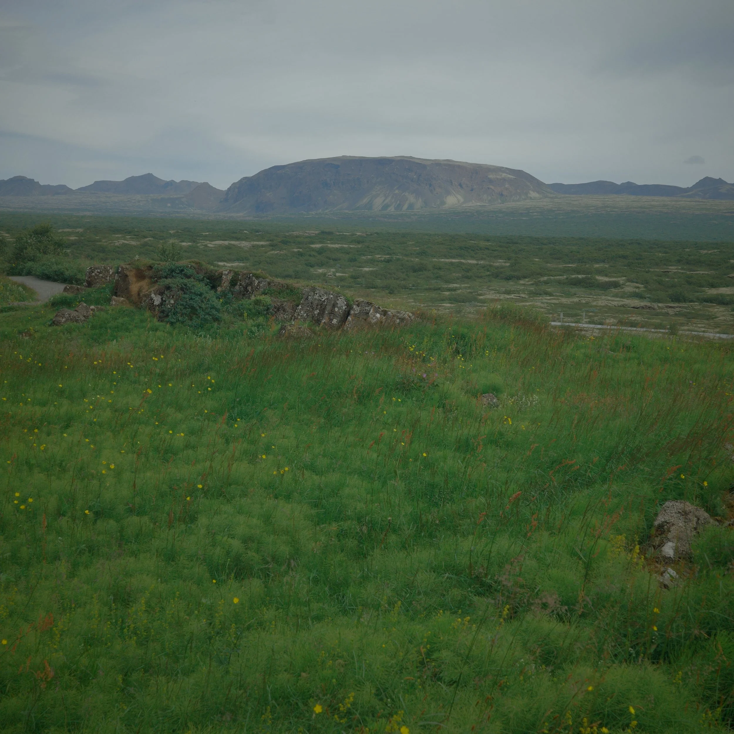 R0005195.JPG