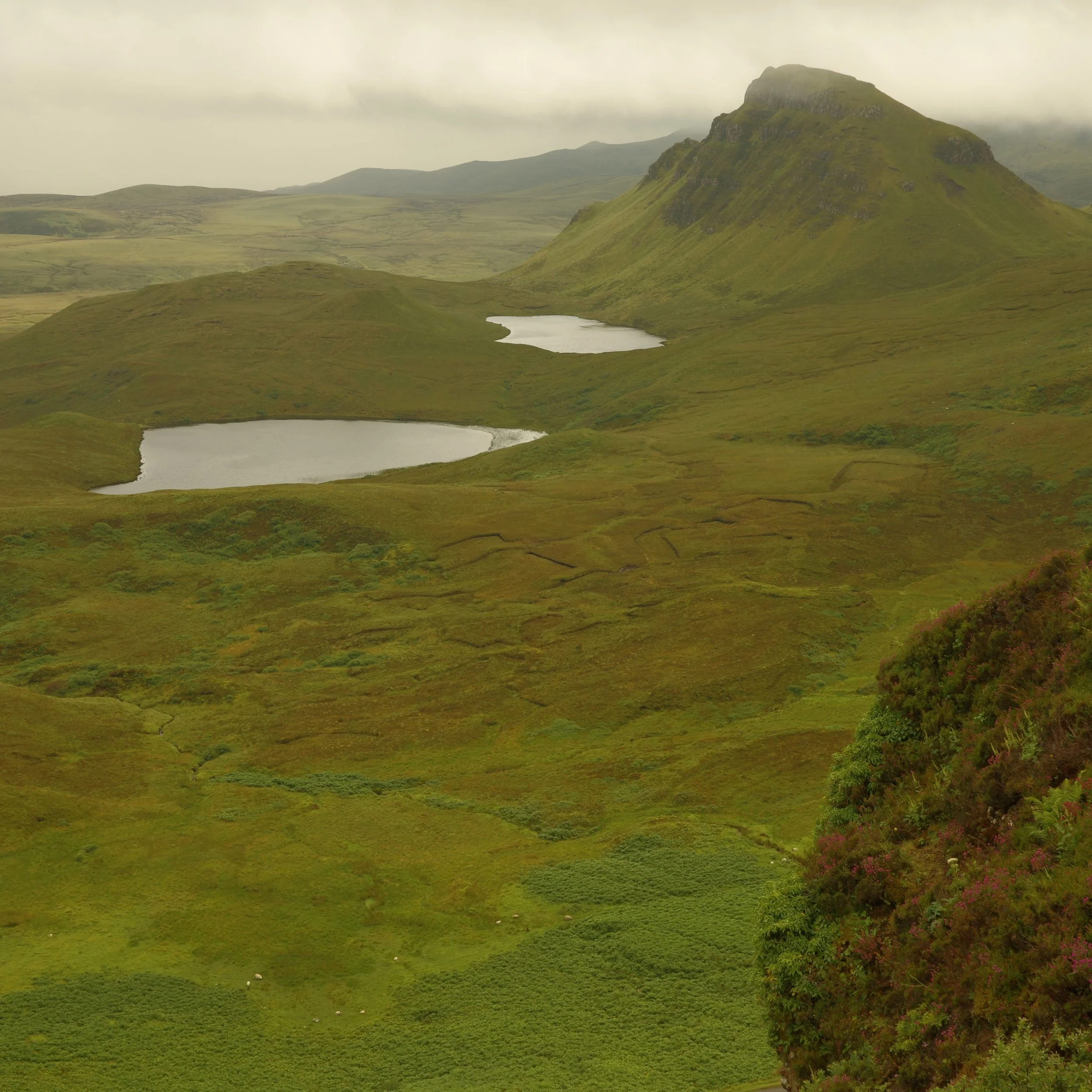R0004909.JPG