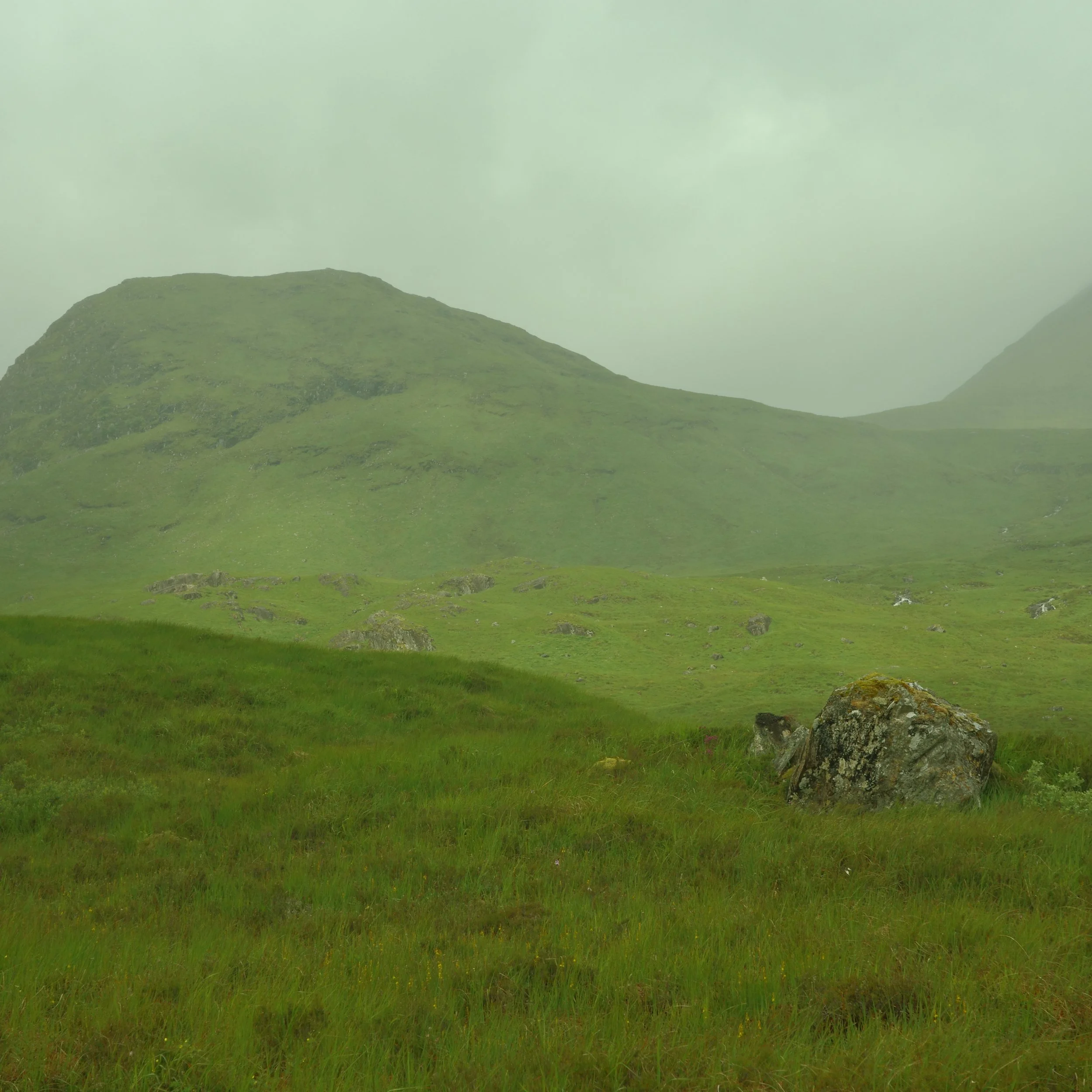 R0003930.JPG