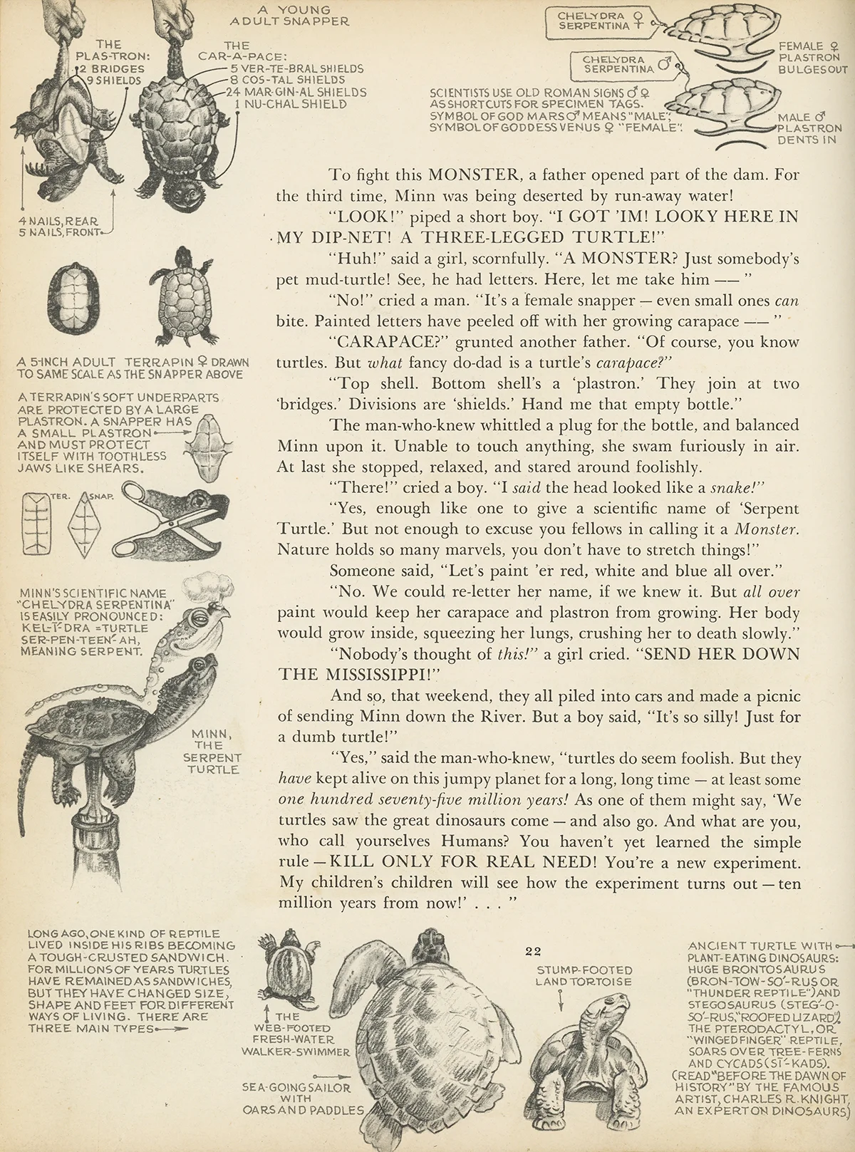 scan223.jpg