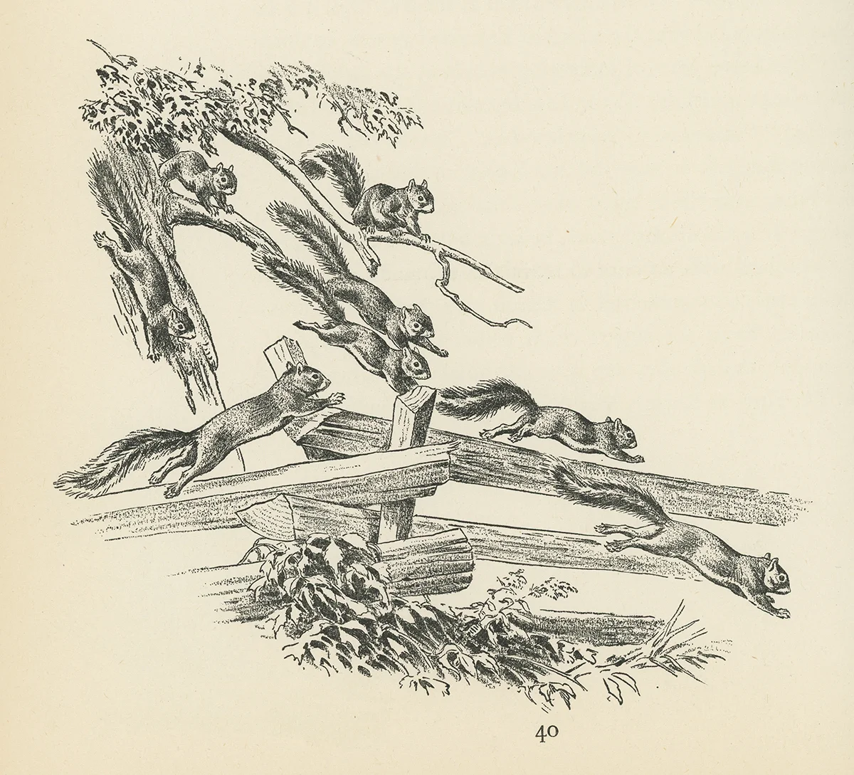 scan216.jpg