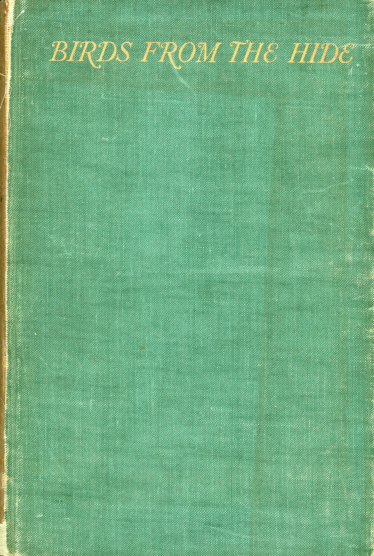 scan245.jpg