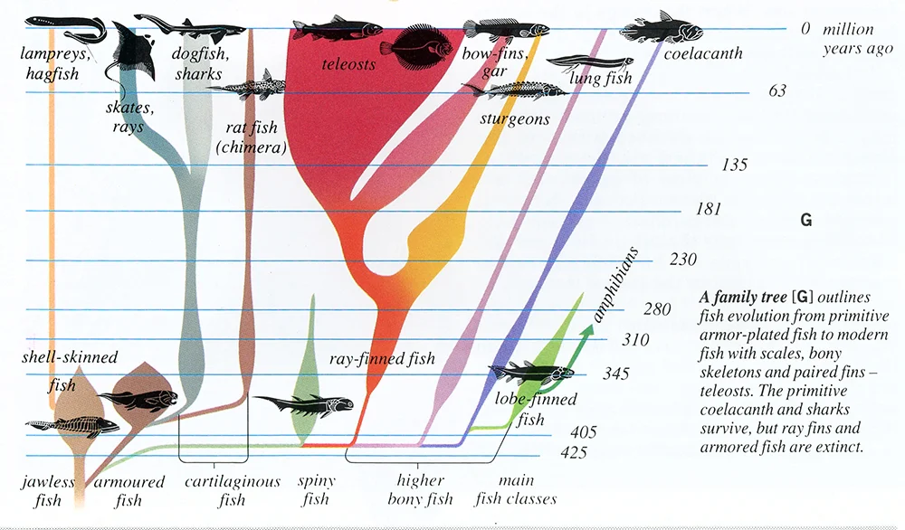 chart.jpg