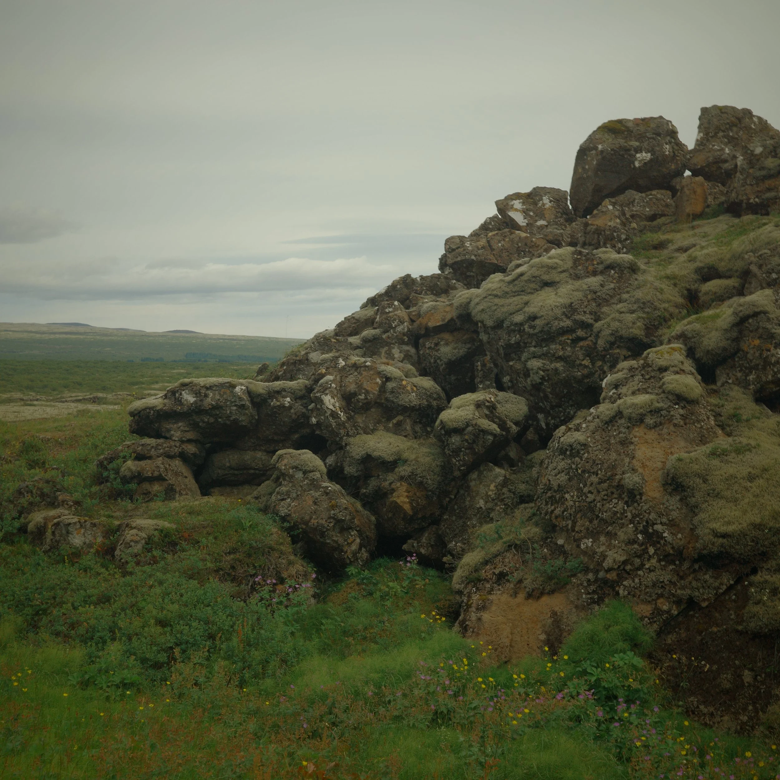 R0005200.JPG