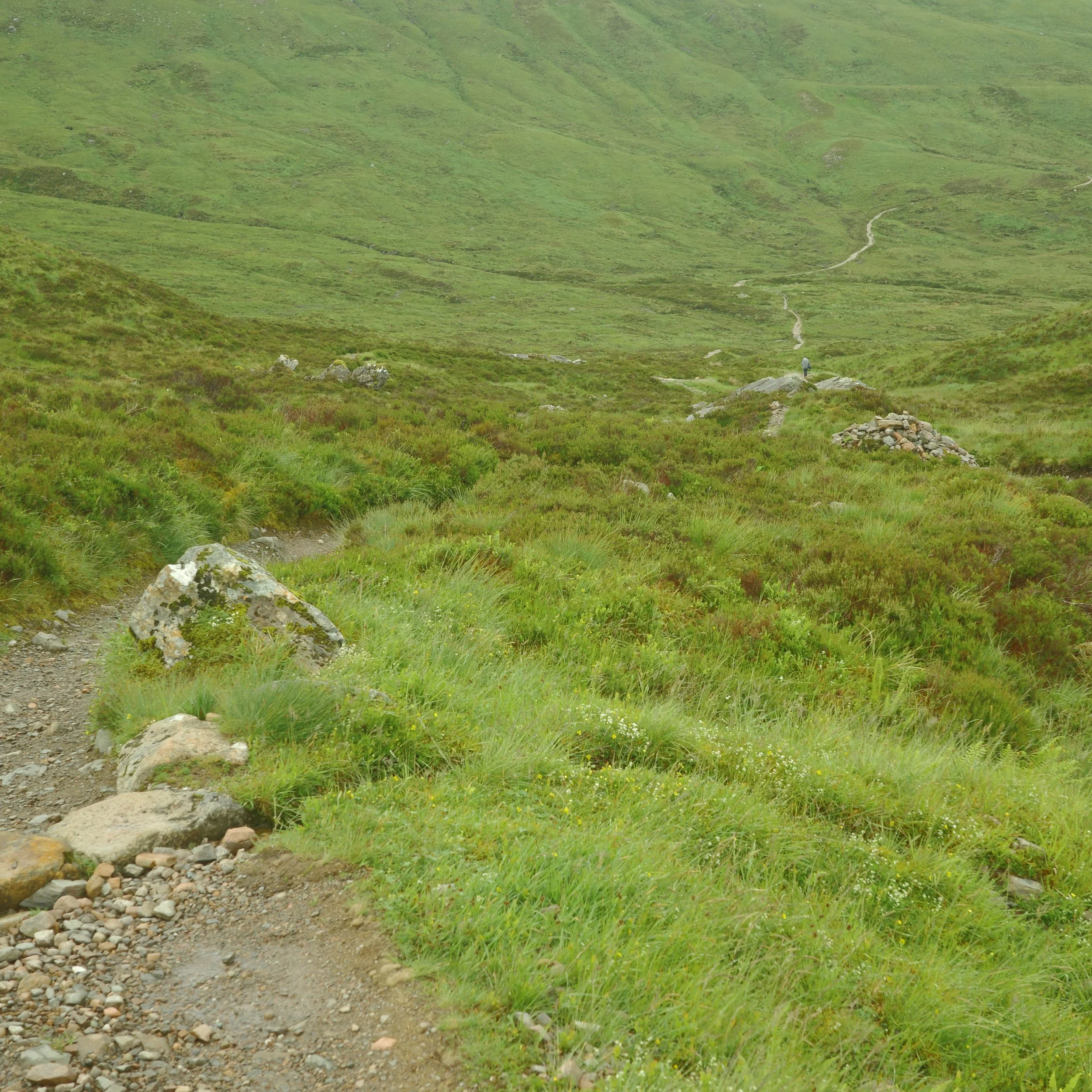 R0003974.JPG