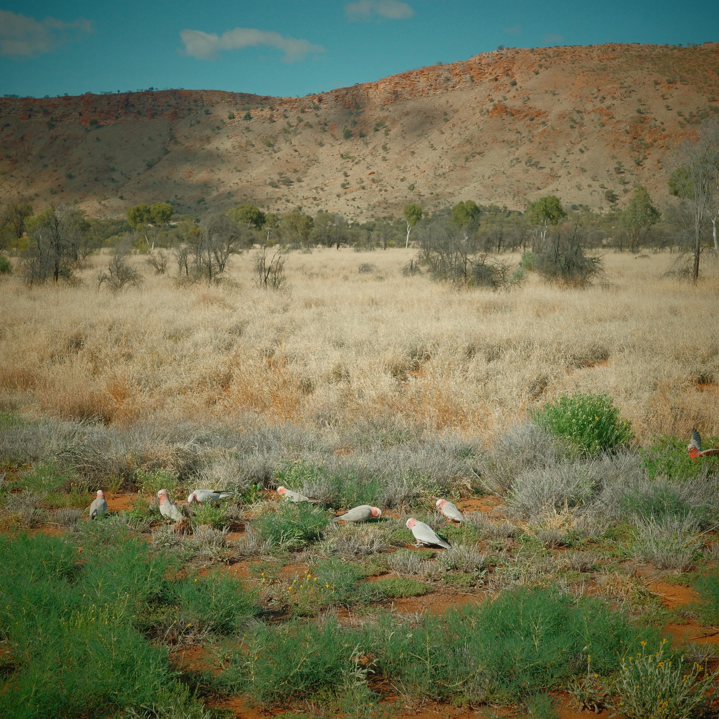 R0002680.JPG