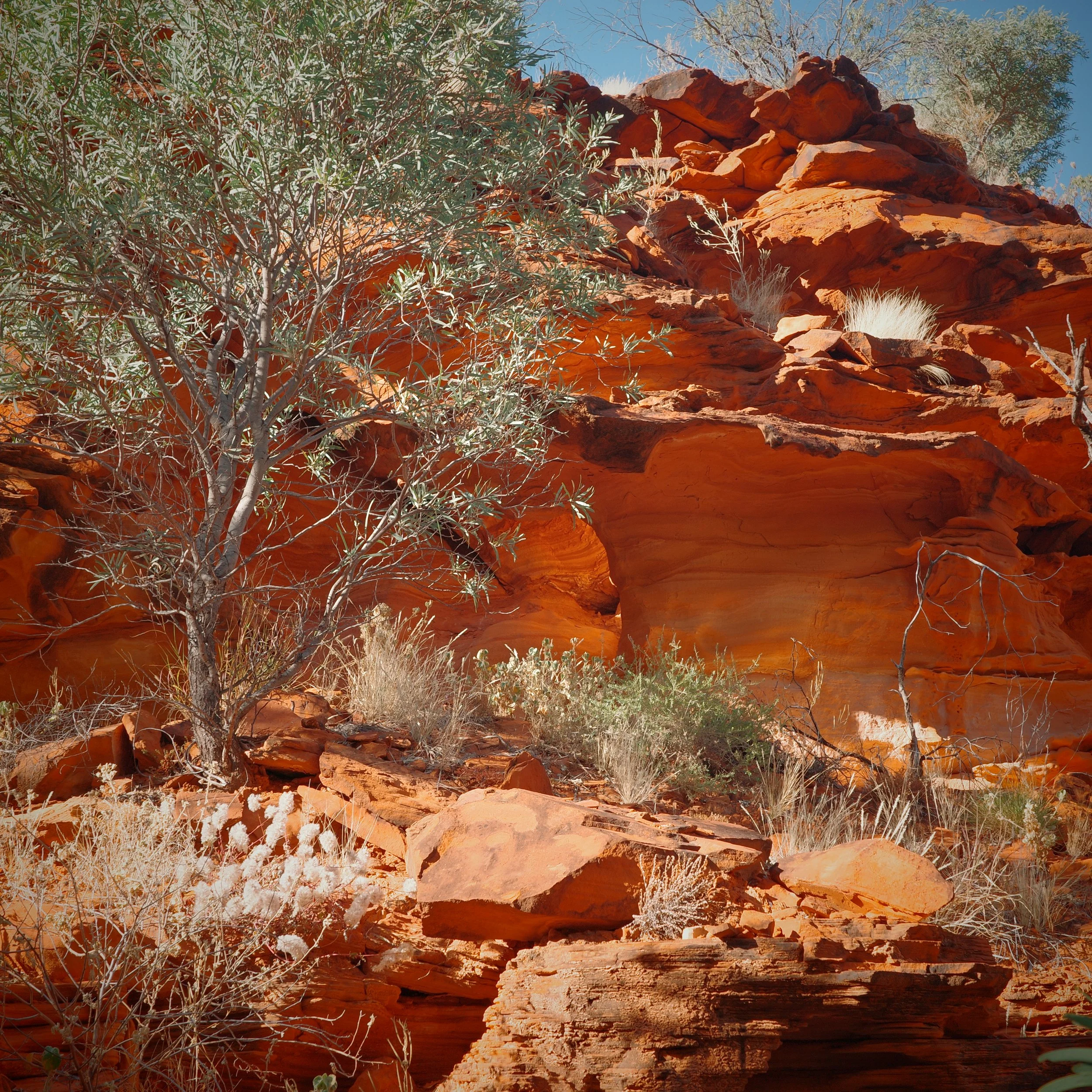 R0002645 2.JPG