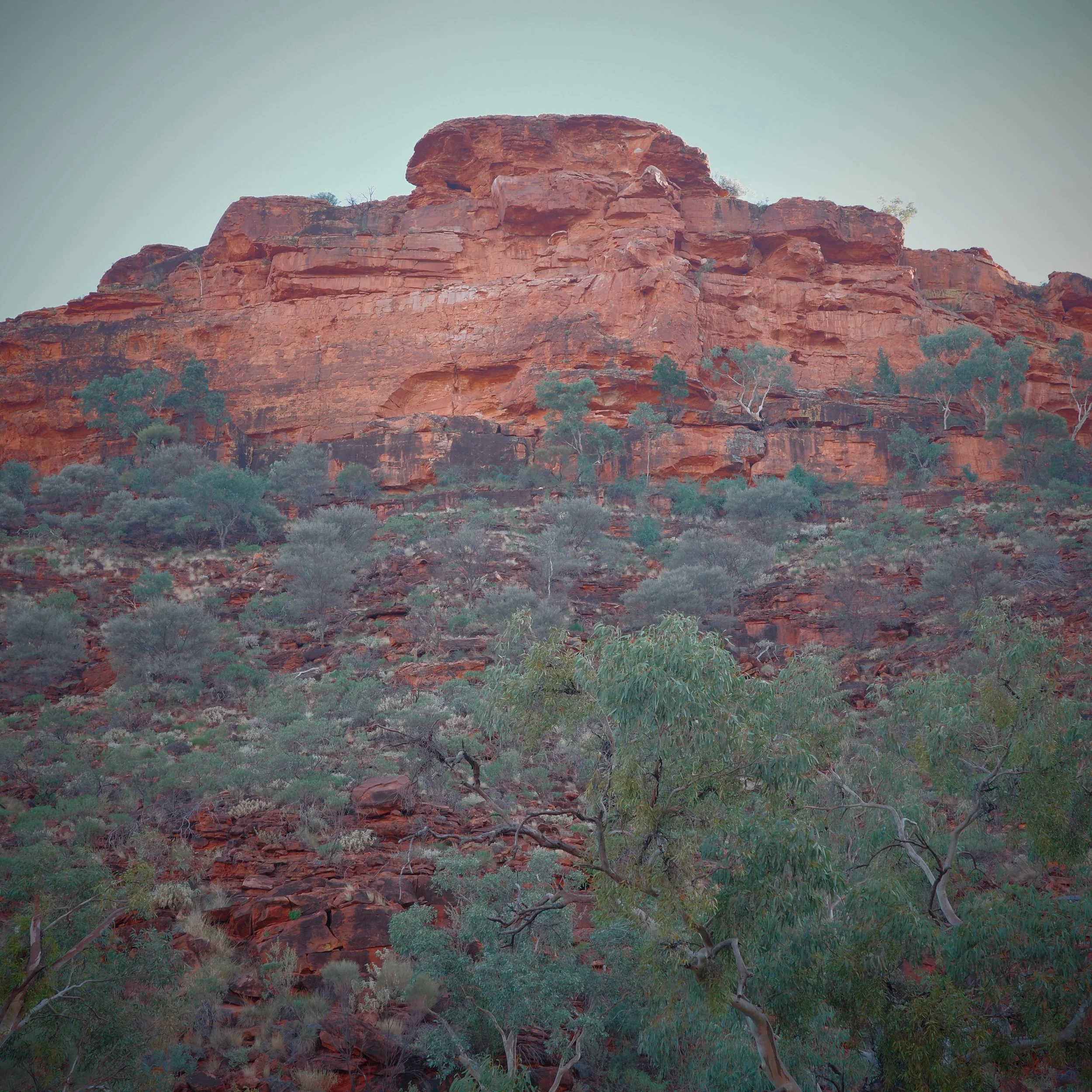 R0002642 2.JPG