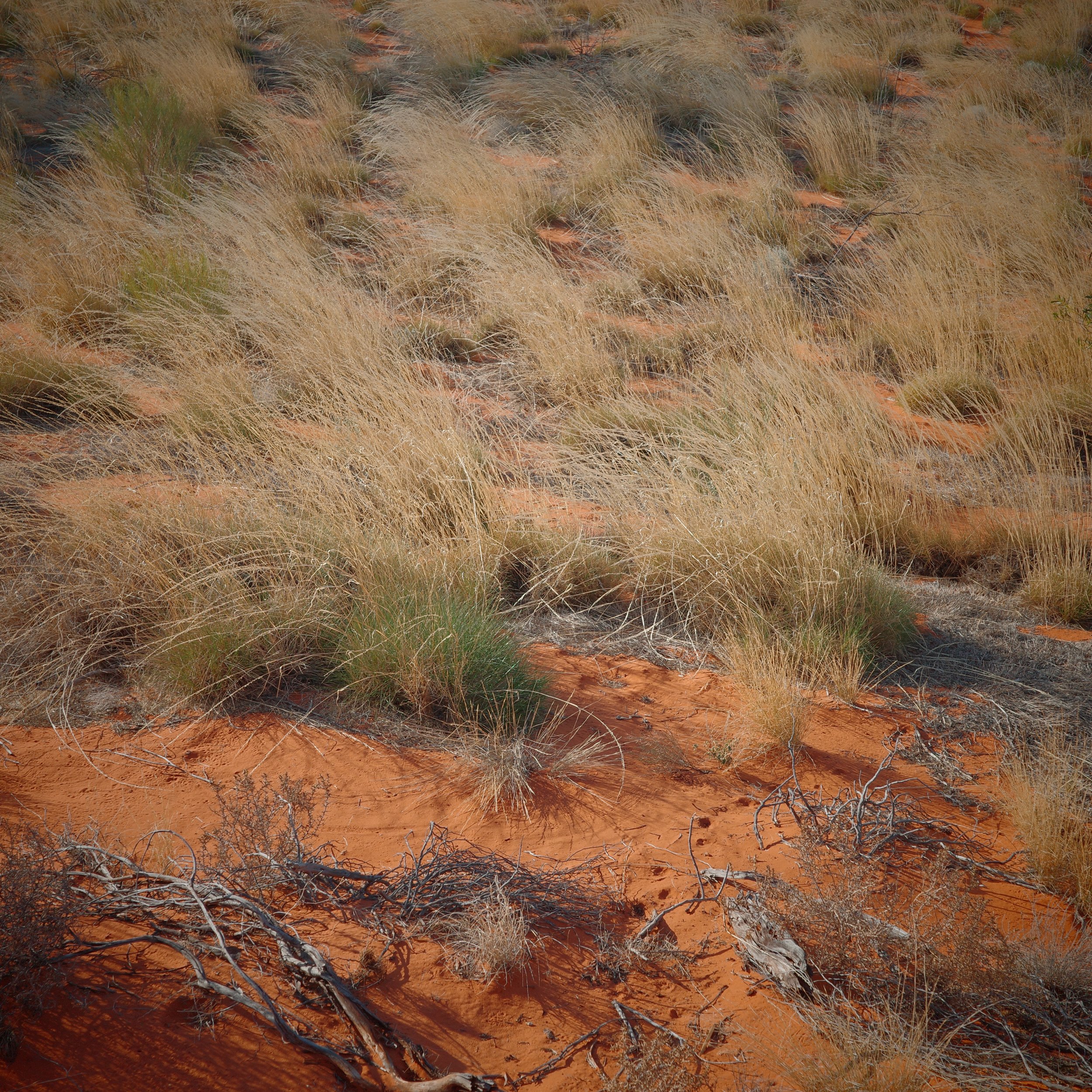 R0002555 2.JPG