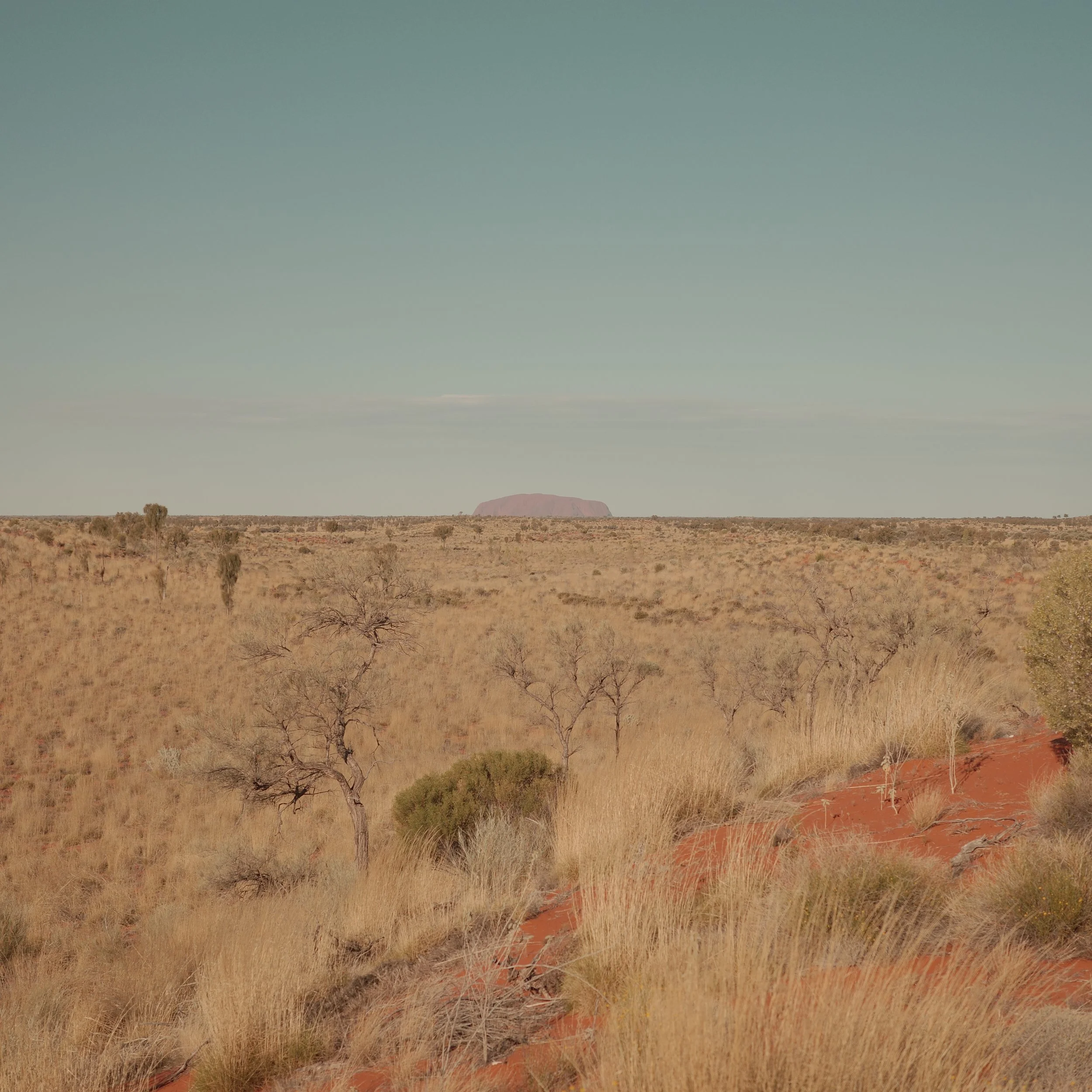 R0002547.JPG