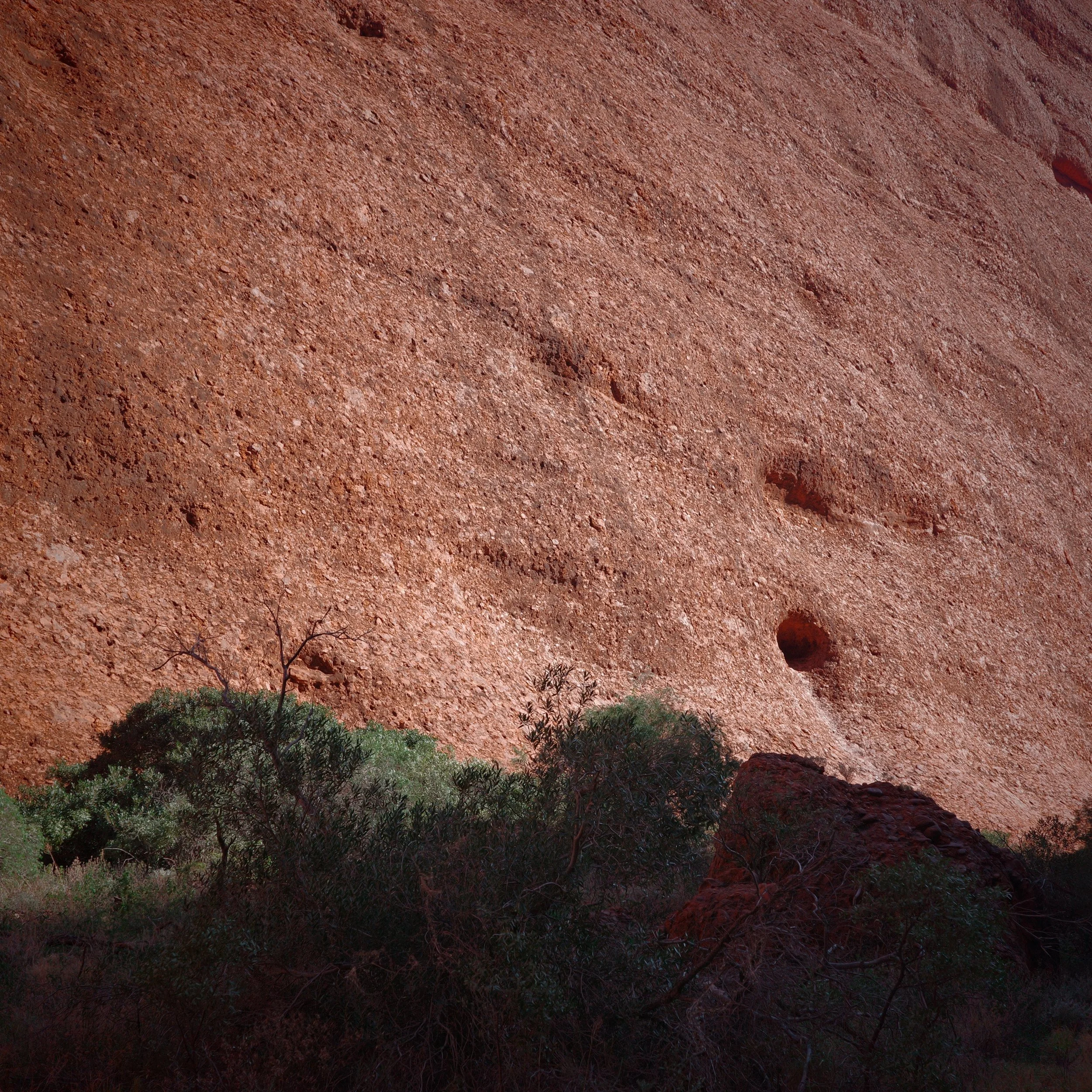 R0002537.JPG
