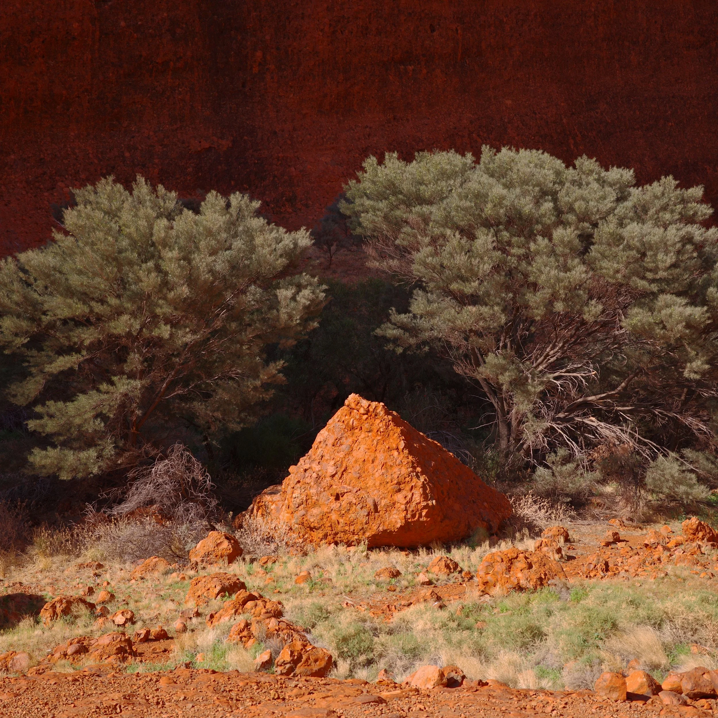 R0002501.JPG