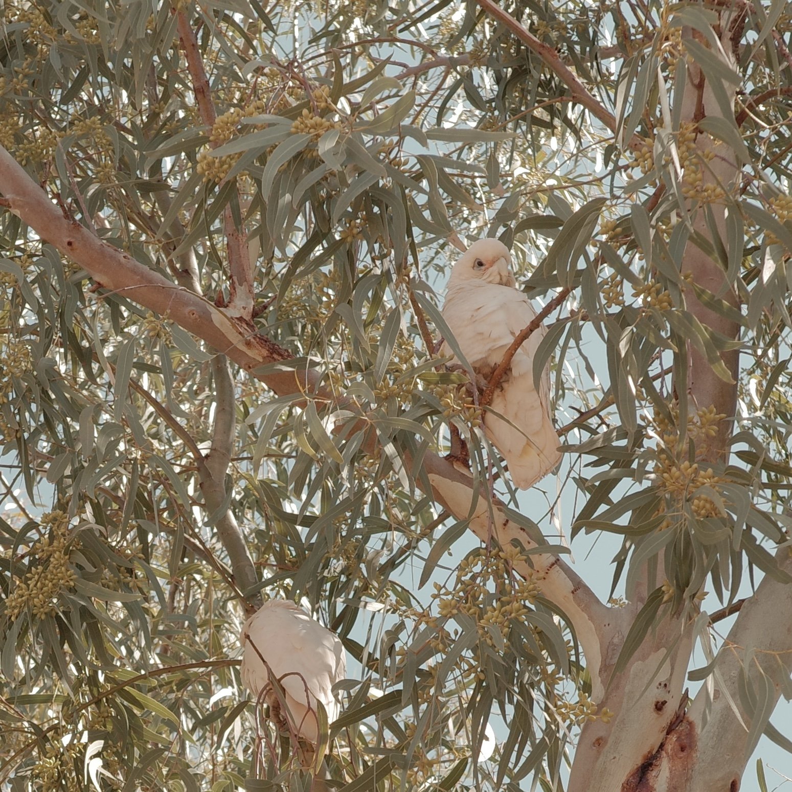 R0002484.jpg