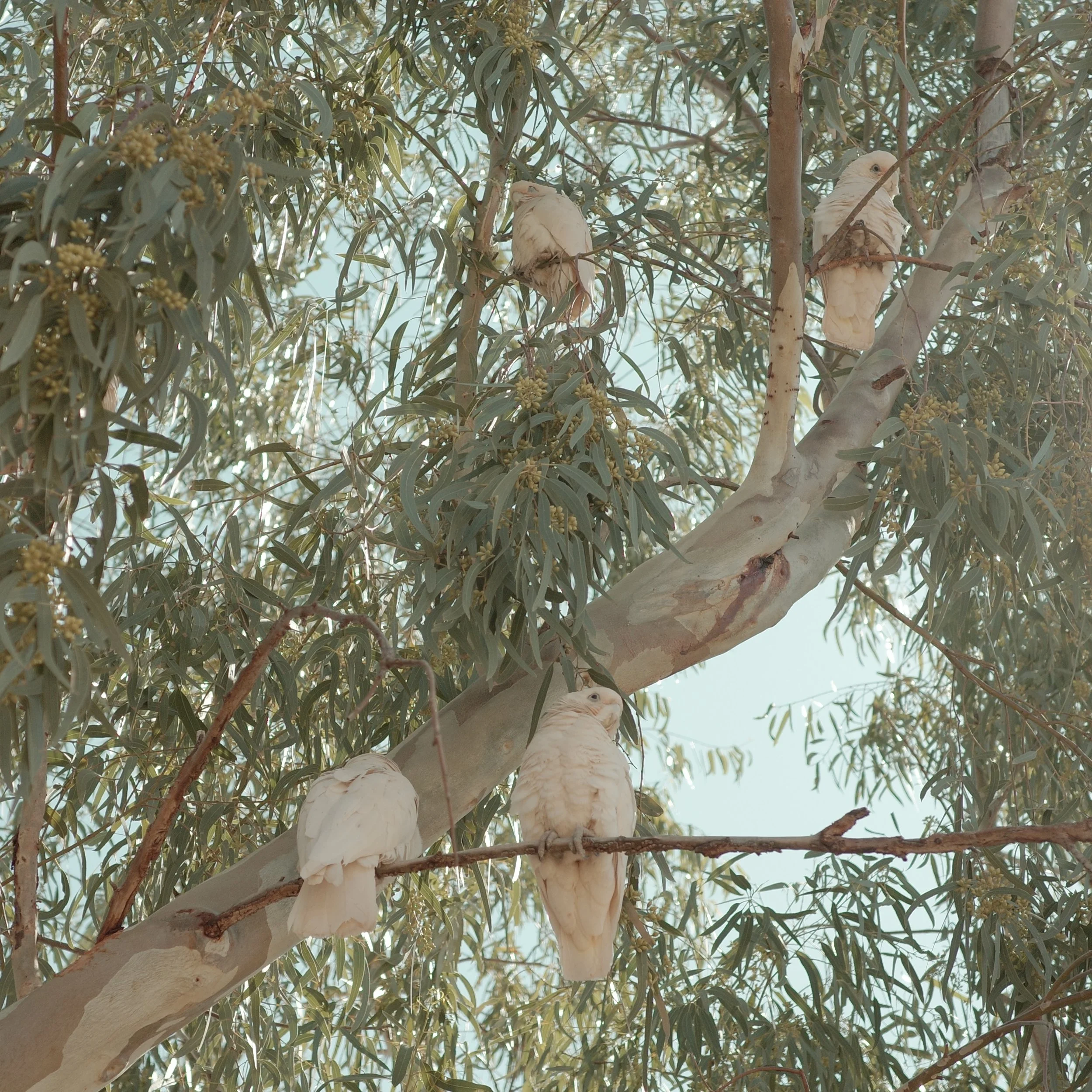 R0002476.jpg
