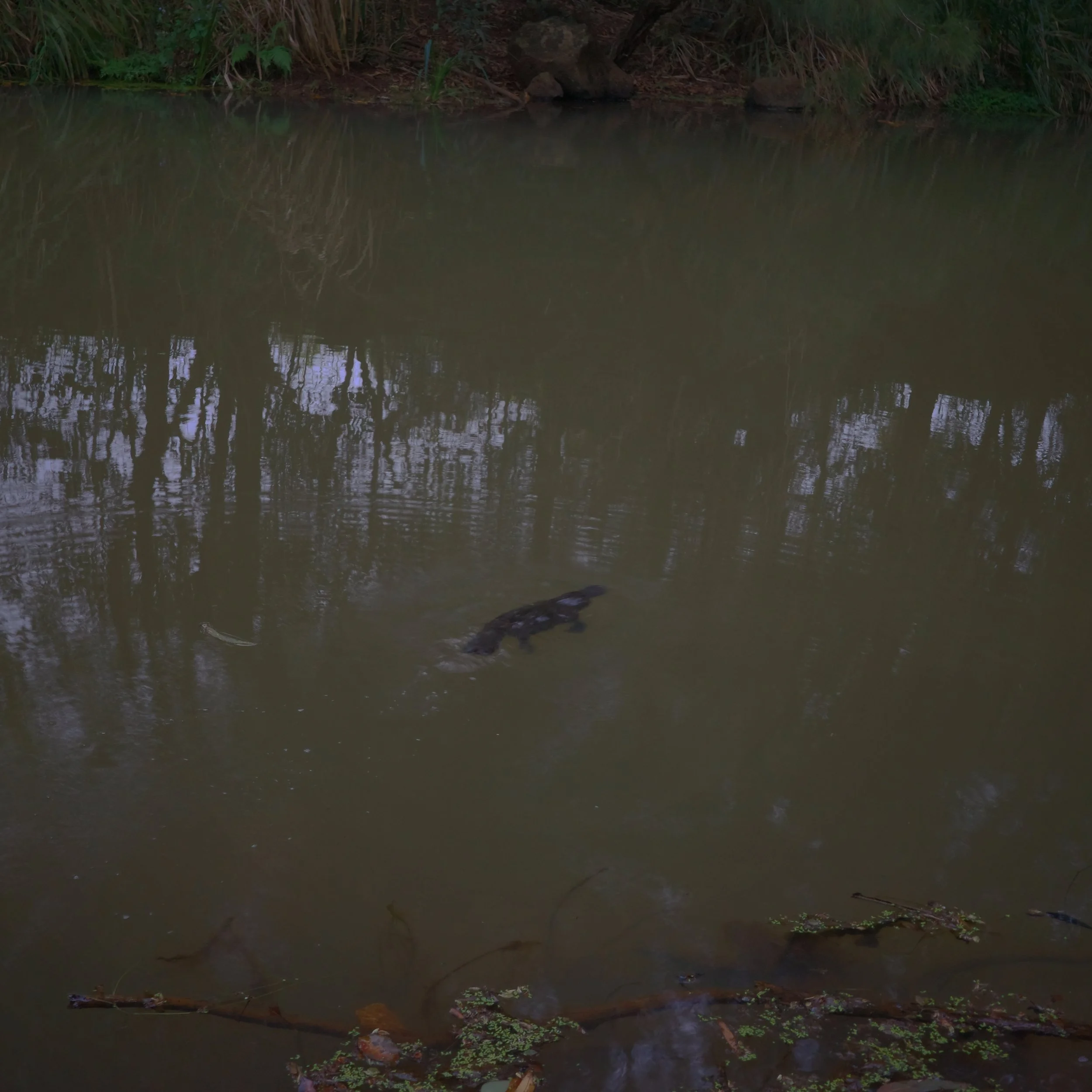 R0002441.JPG