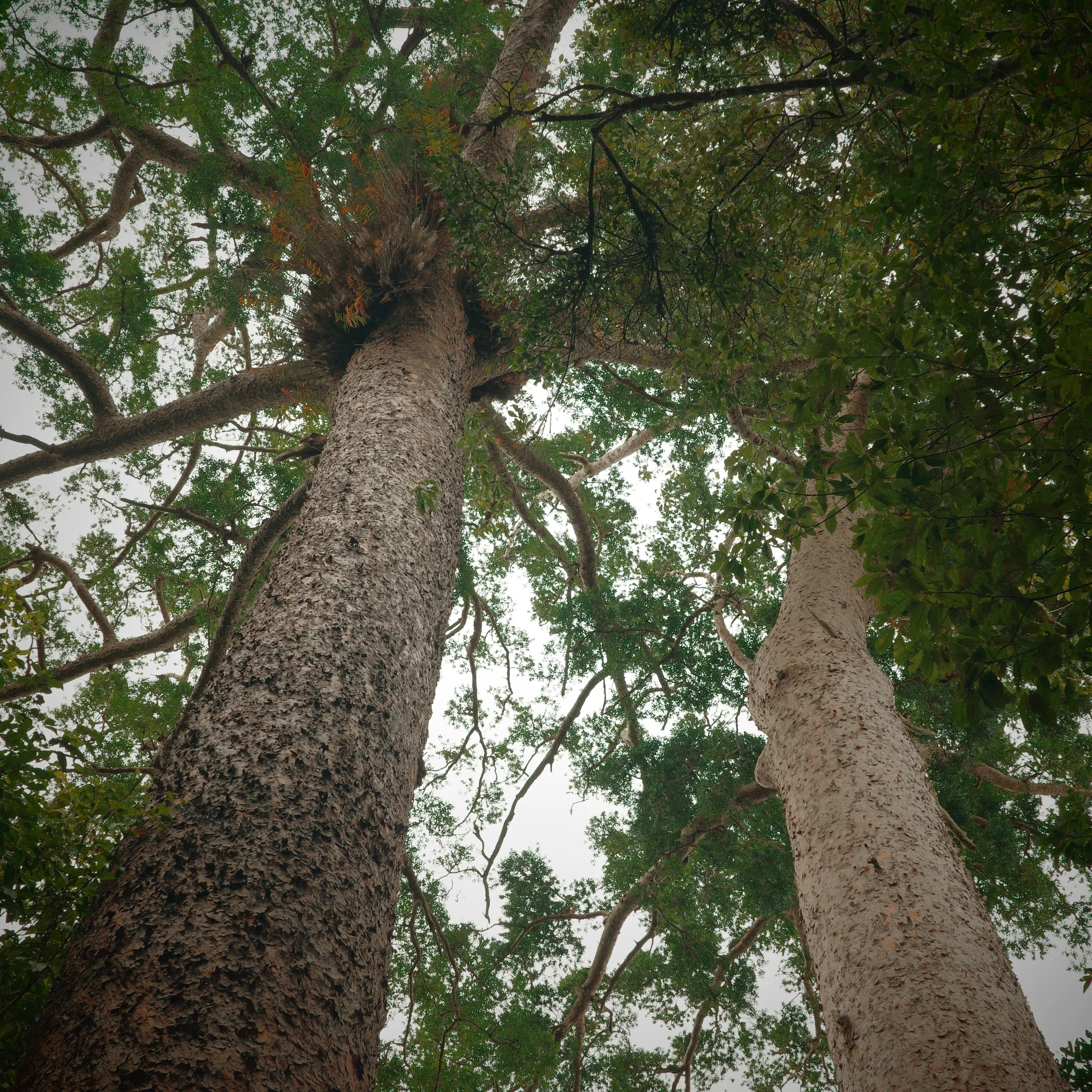 R0002435.JPG