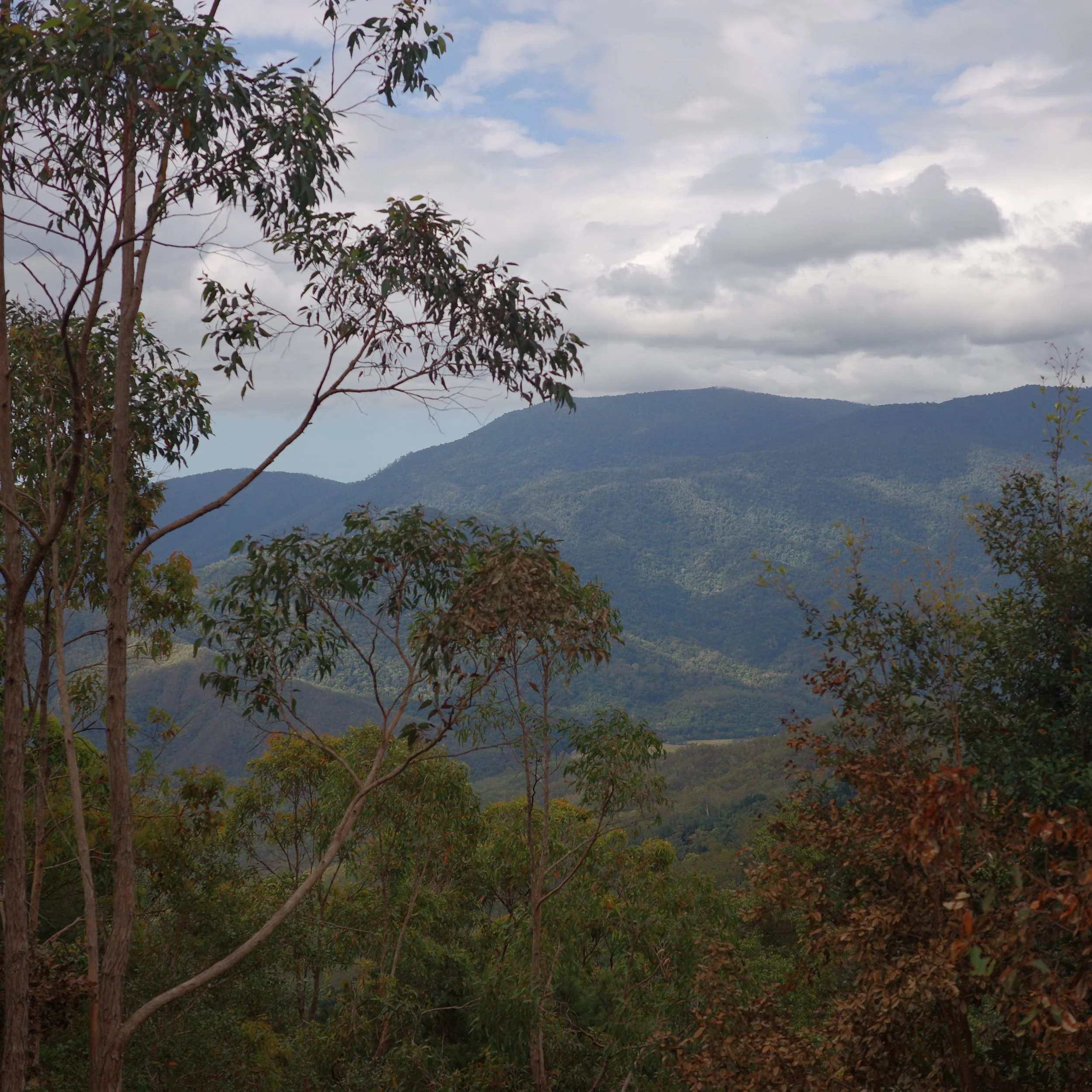 R0002420.JPG