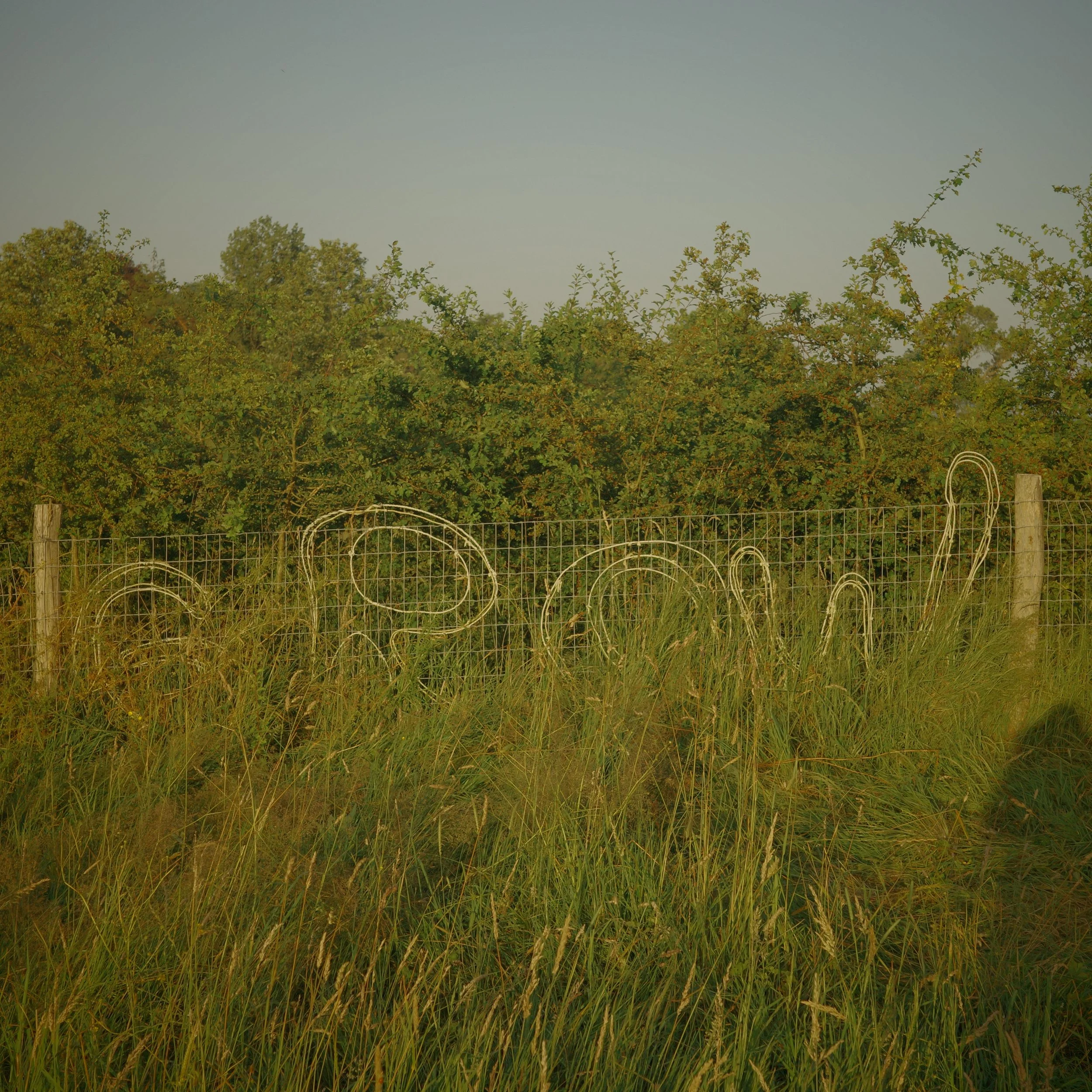 R0003726.JPG