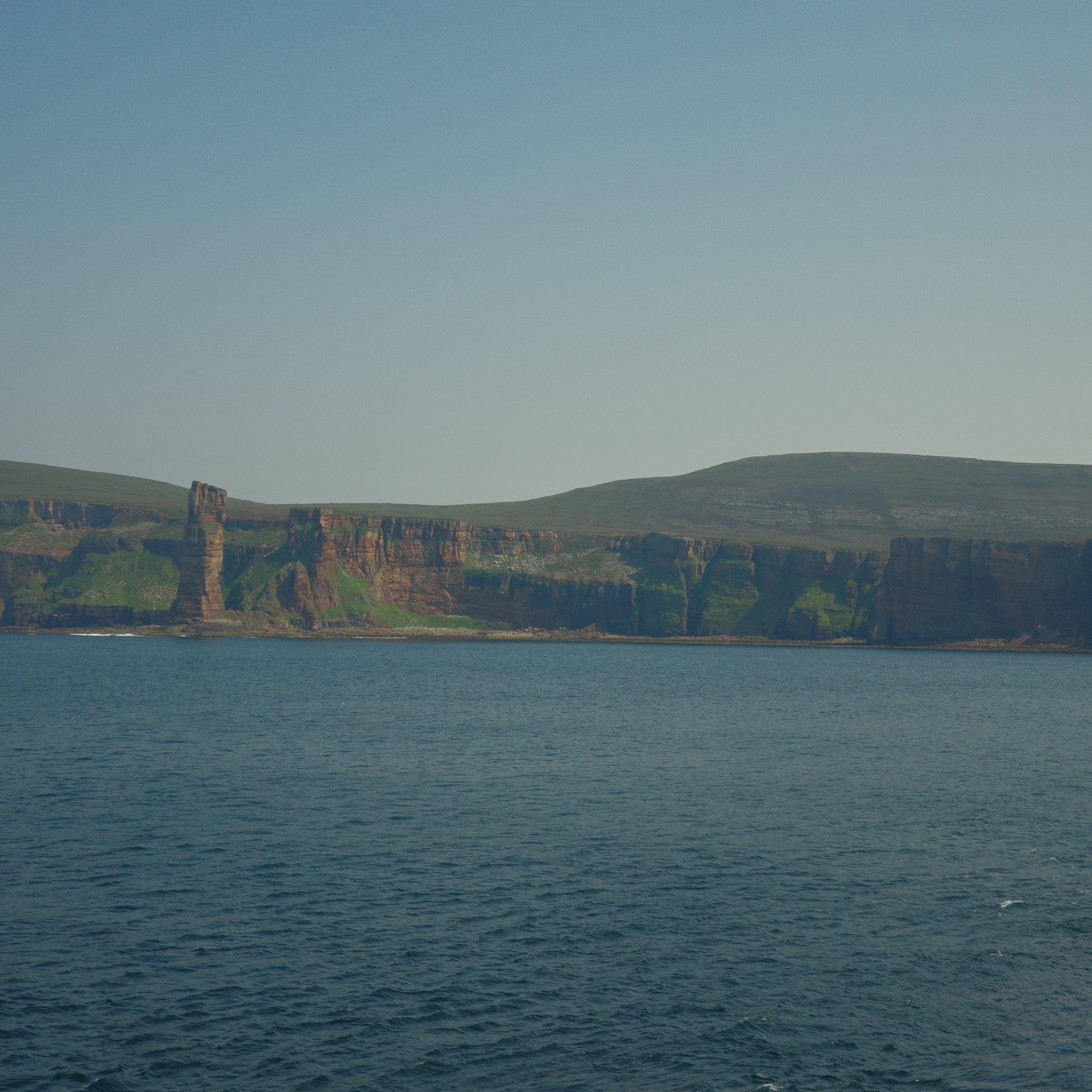 R0004298 2.JPG