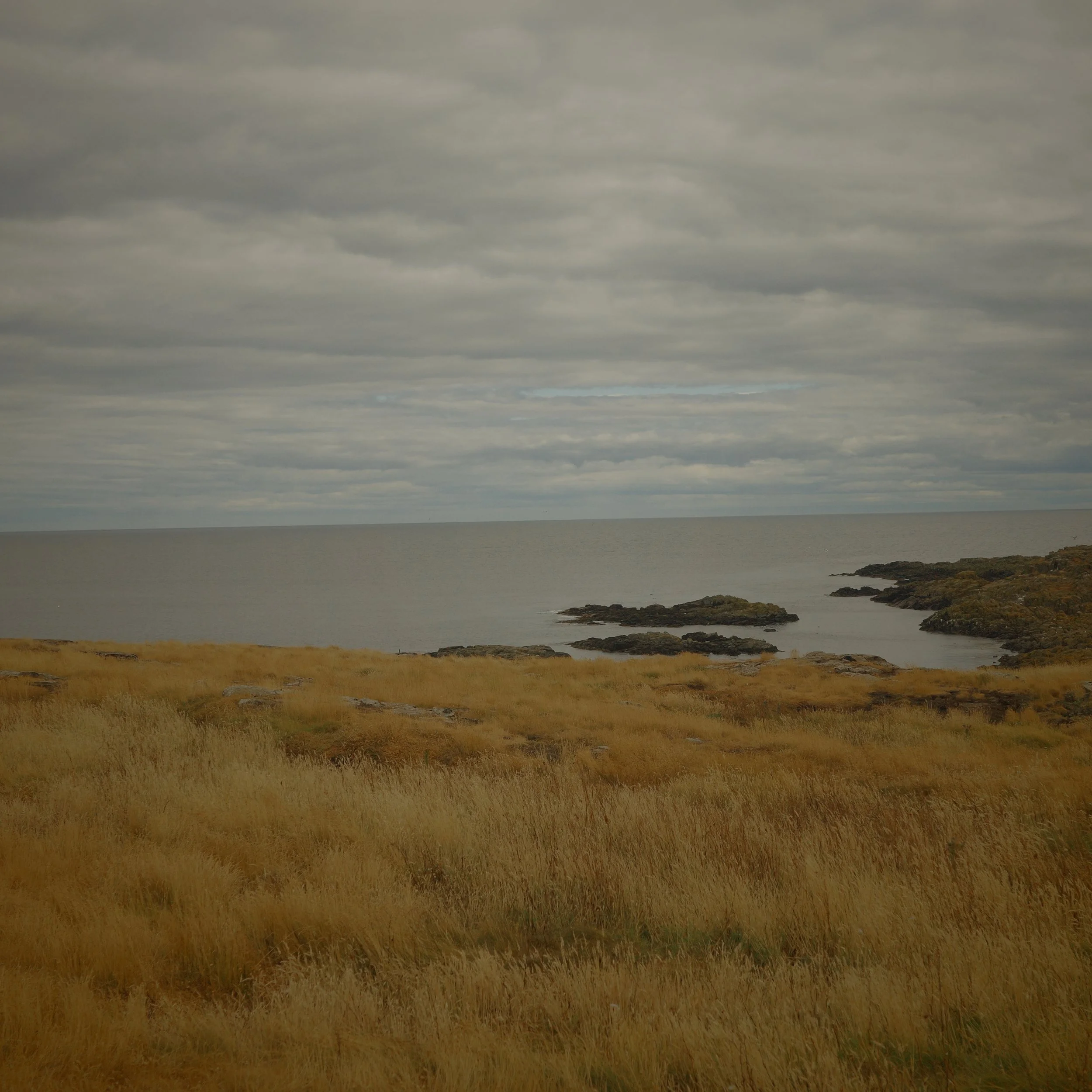 R0005093.JPG