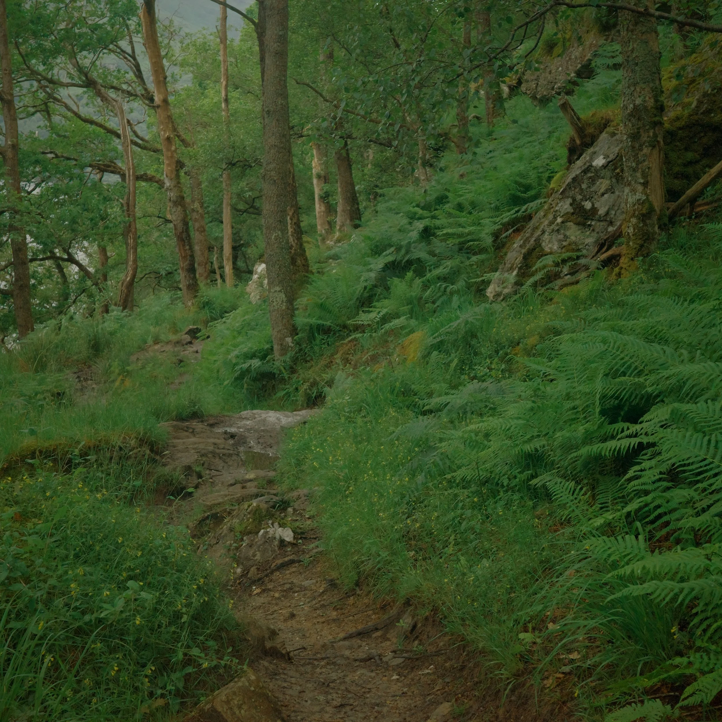 R0003841.JPG