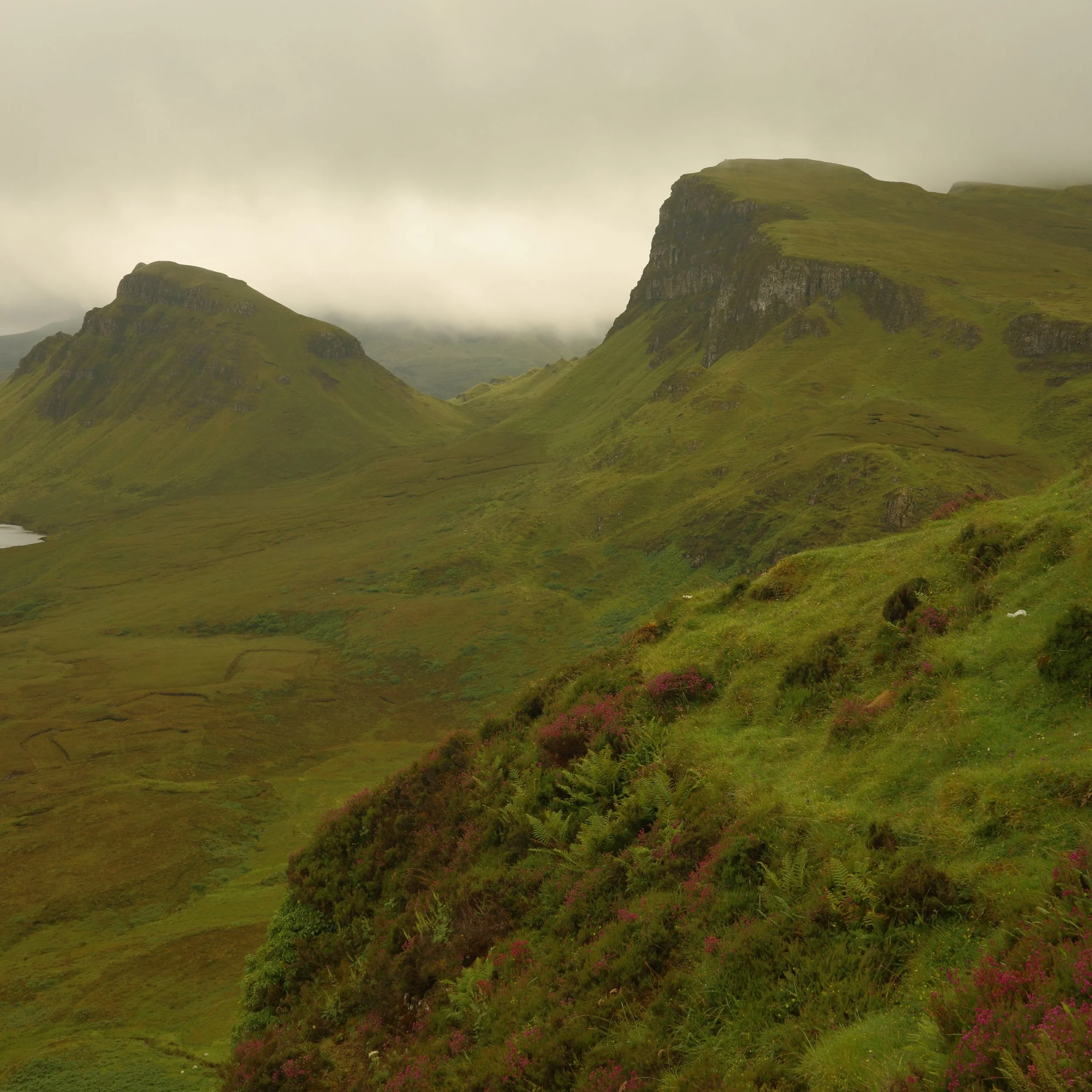 R0004911.JPG