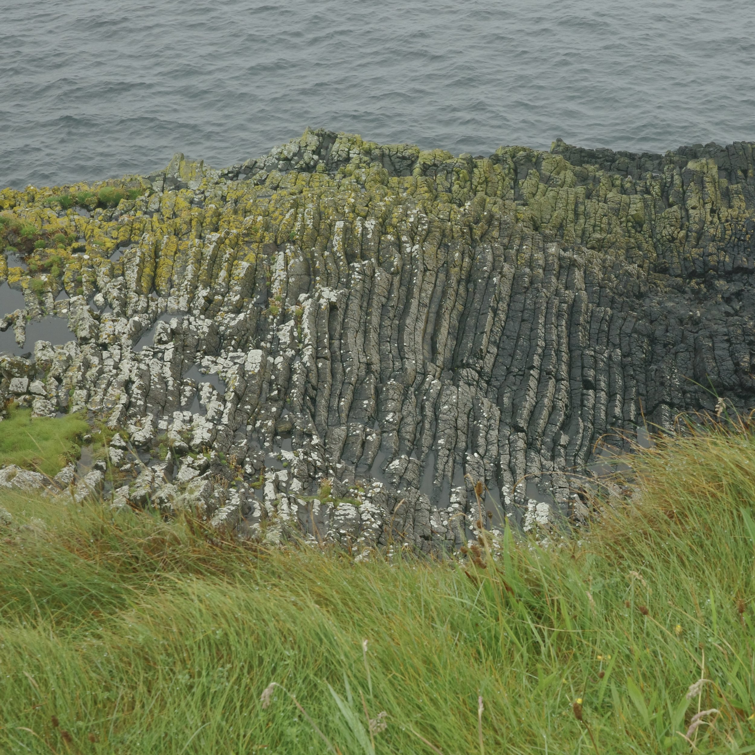 R0004030.jpg