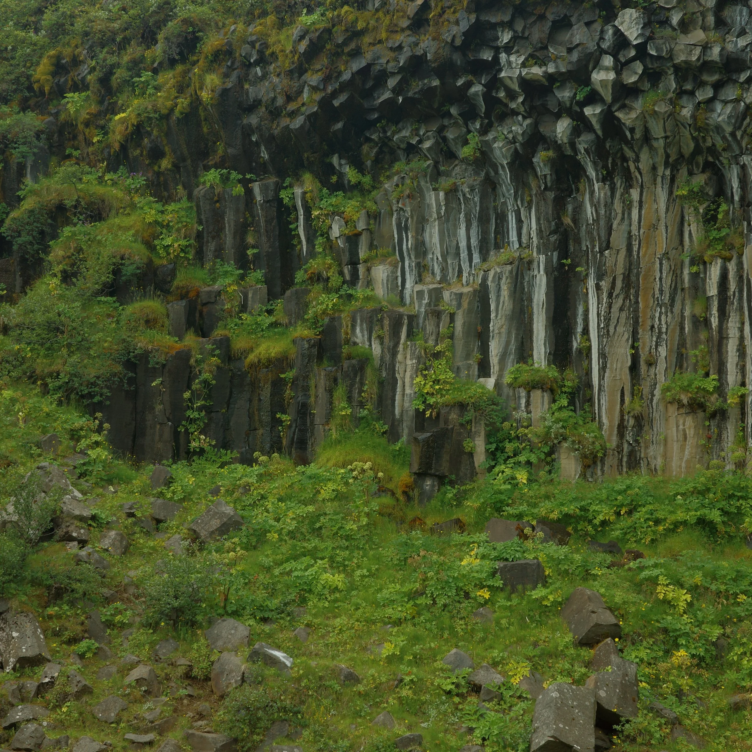 R0005787 2.JPG
