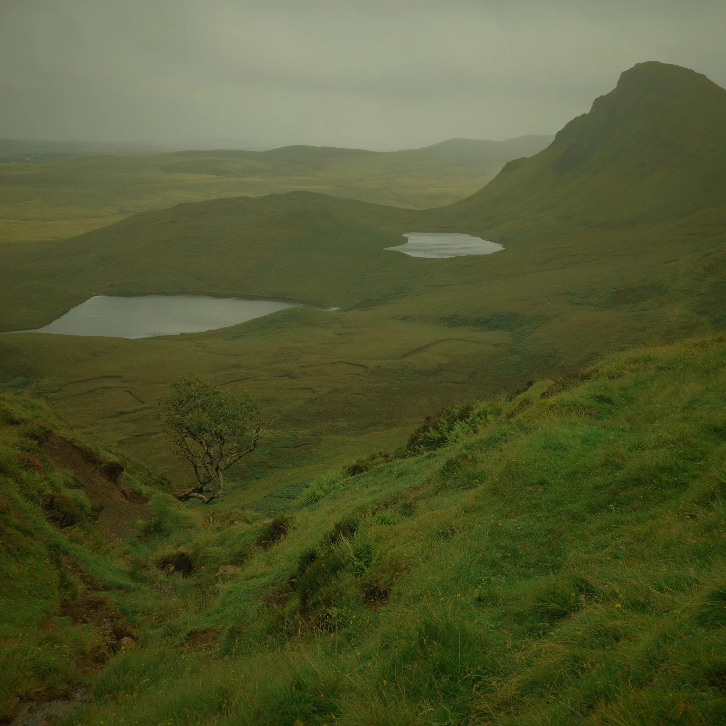 R0004920.JPG