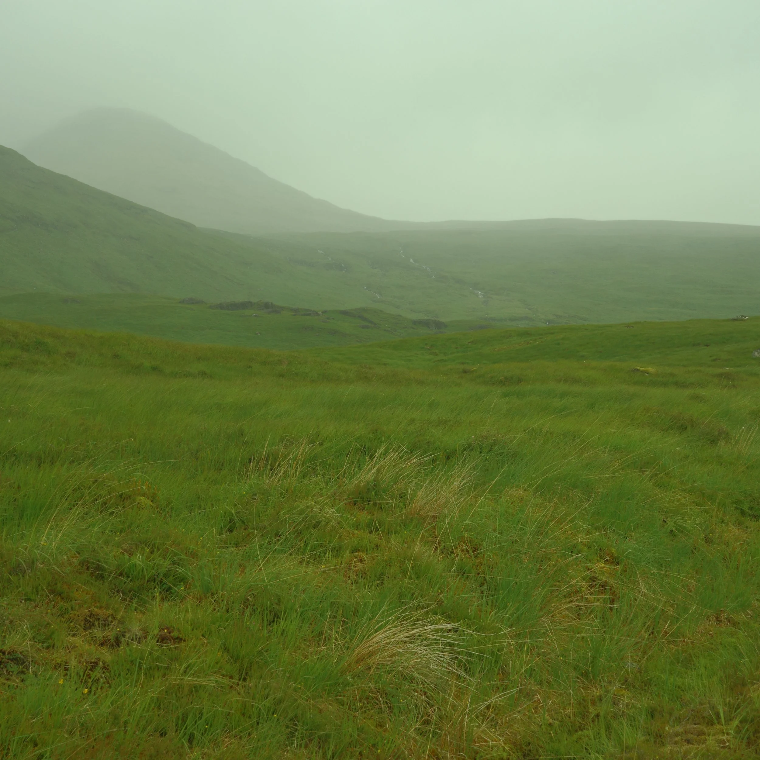 R0003924.JPG