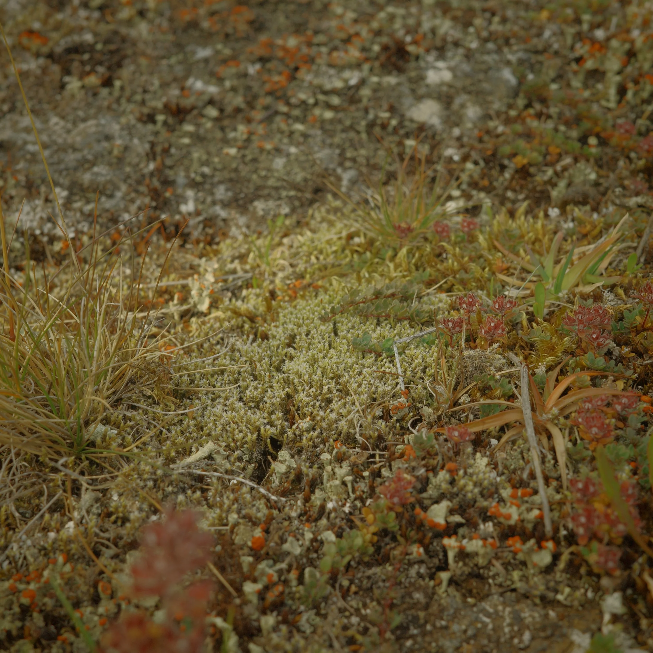 R0006963.JPG