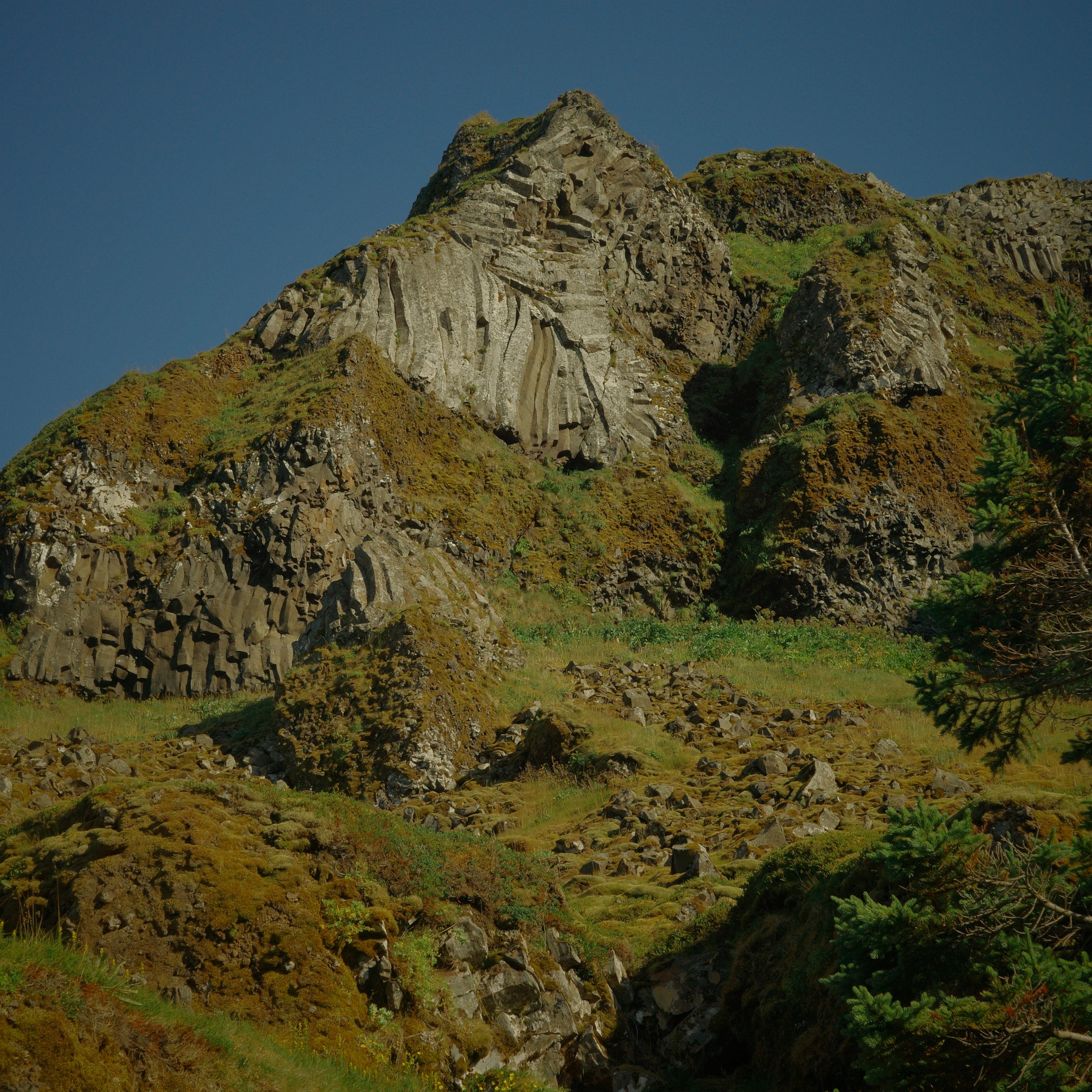 R0007622.JPG