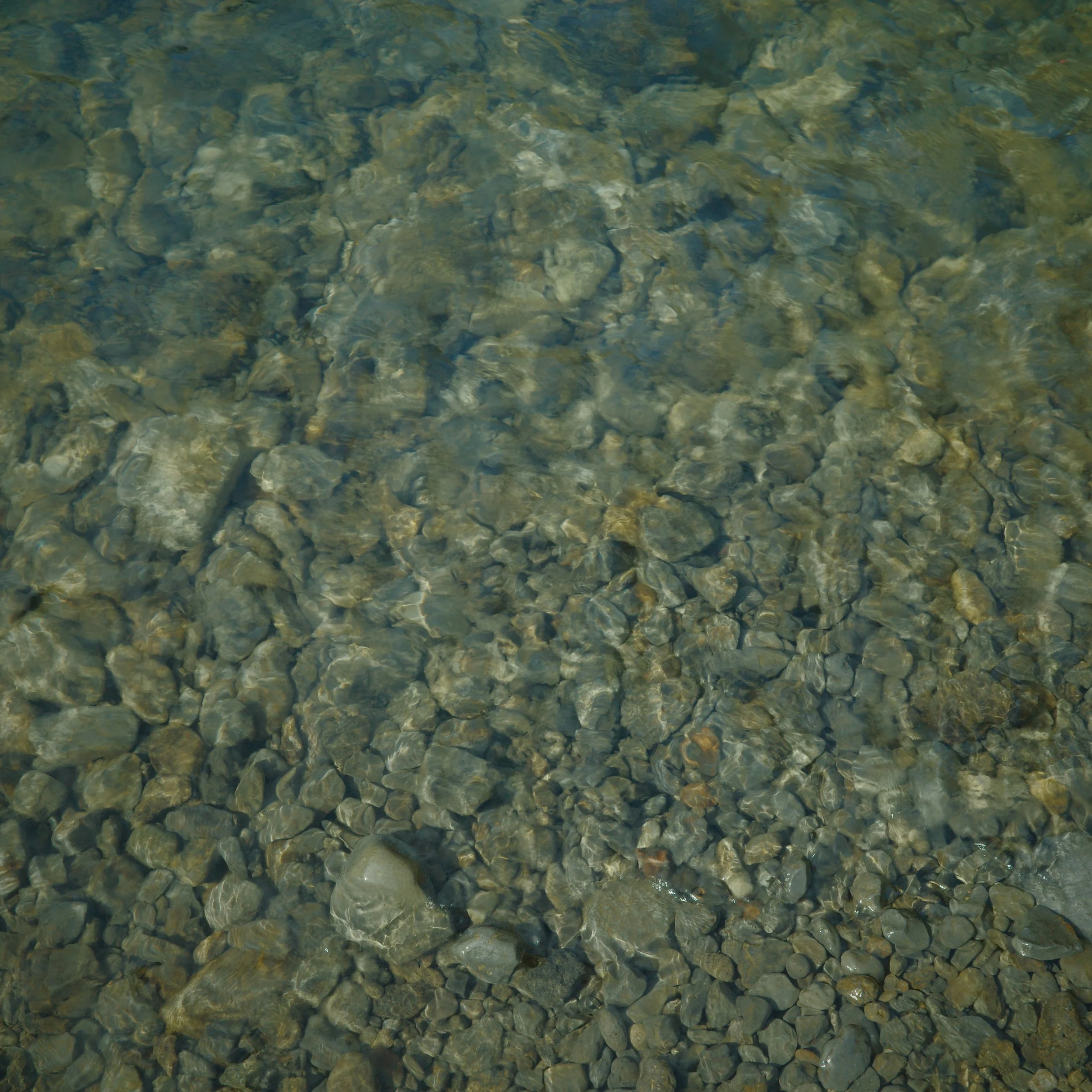 R0005661 2.JPG