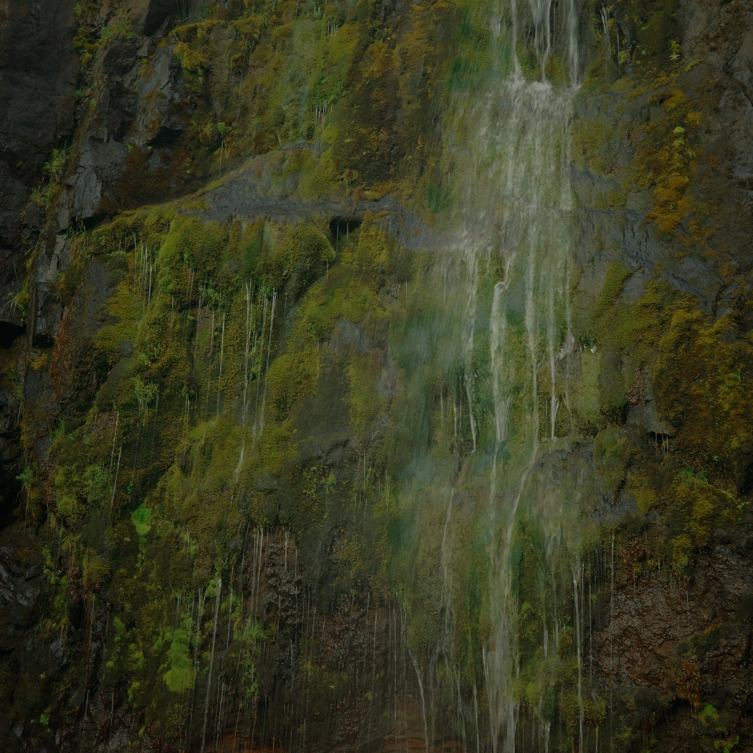 R0006334.JPG