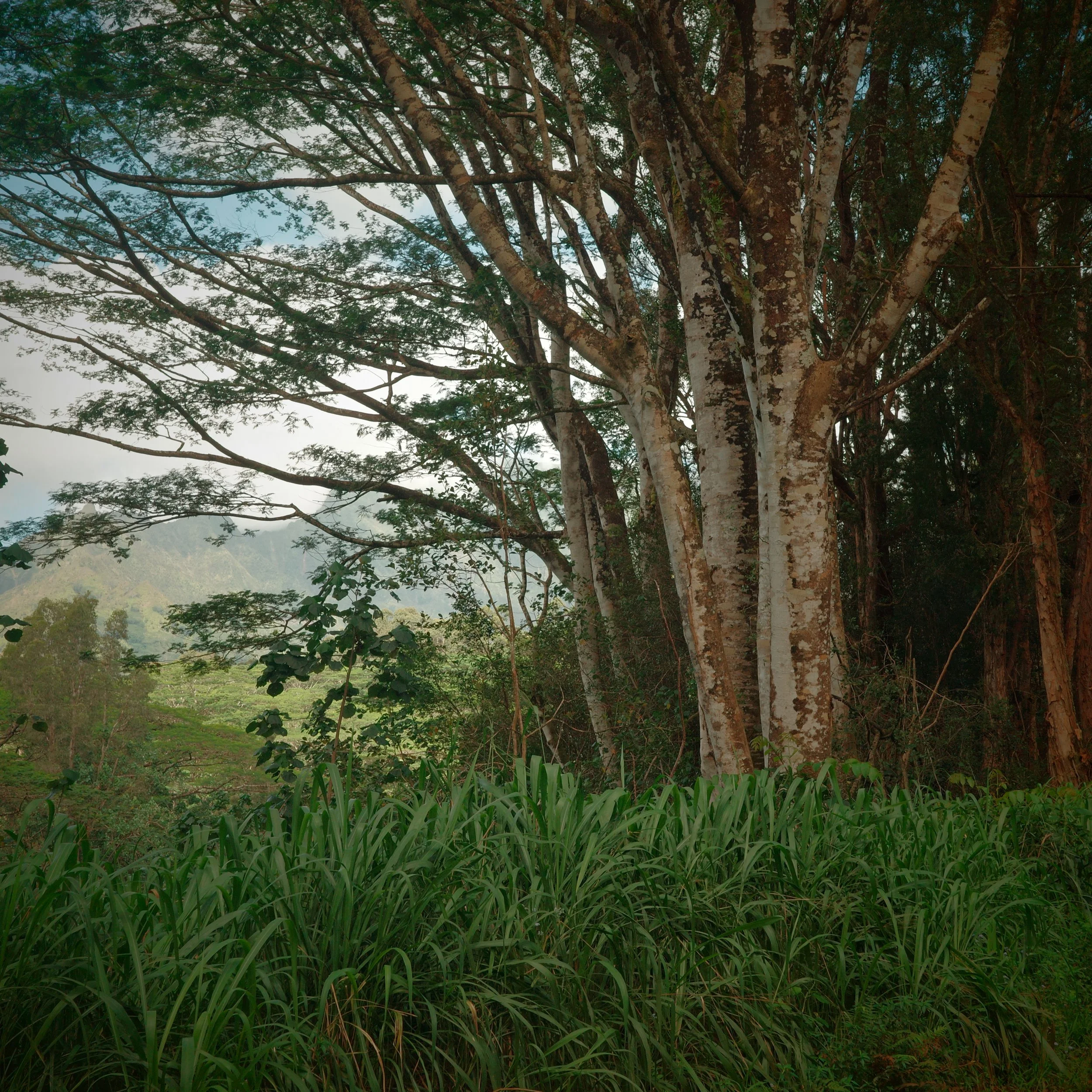 R0003489.jpeg