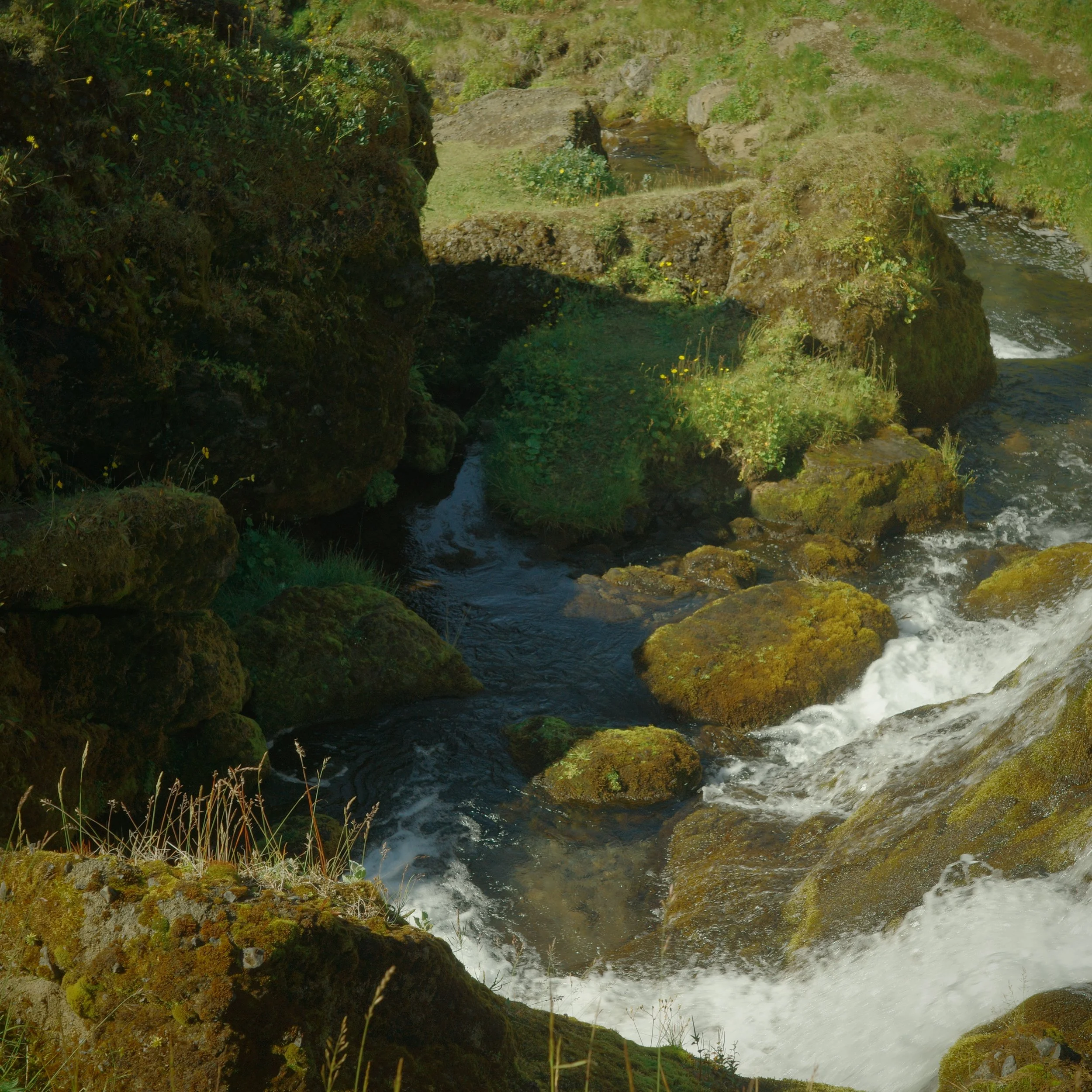 R0007559.JPG
