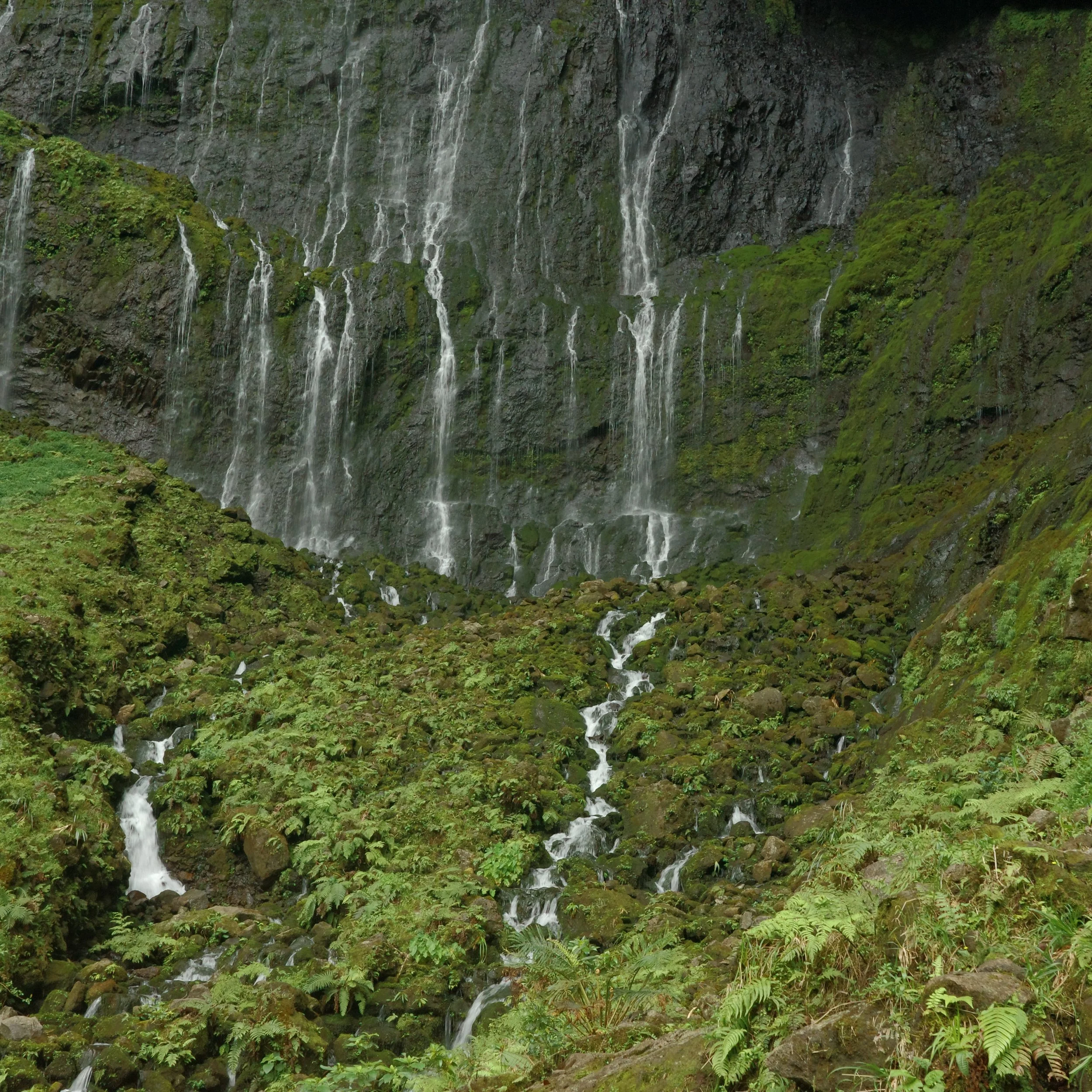 R0003592.JPG