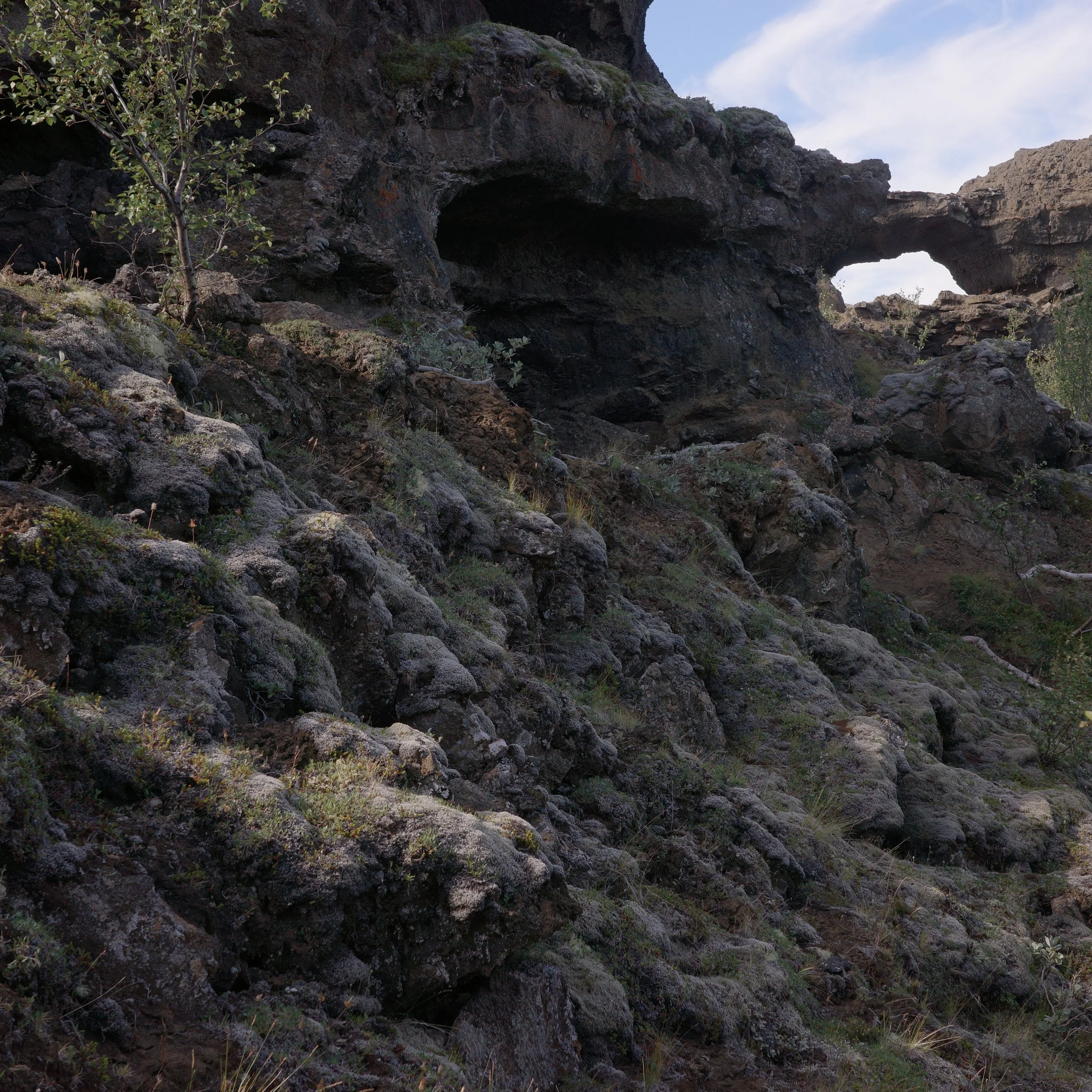 R0006723.JPG