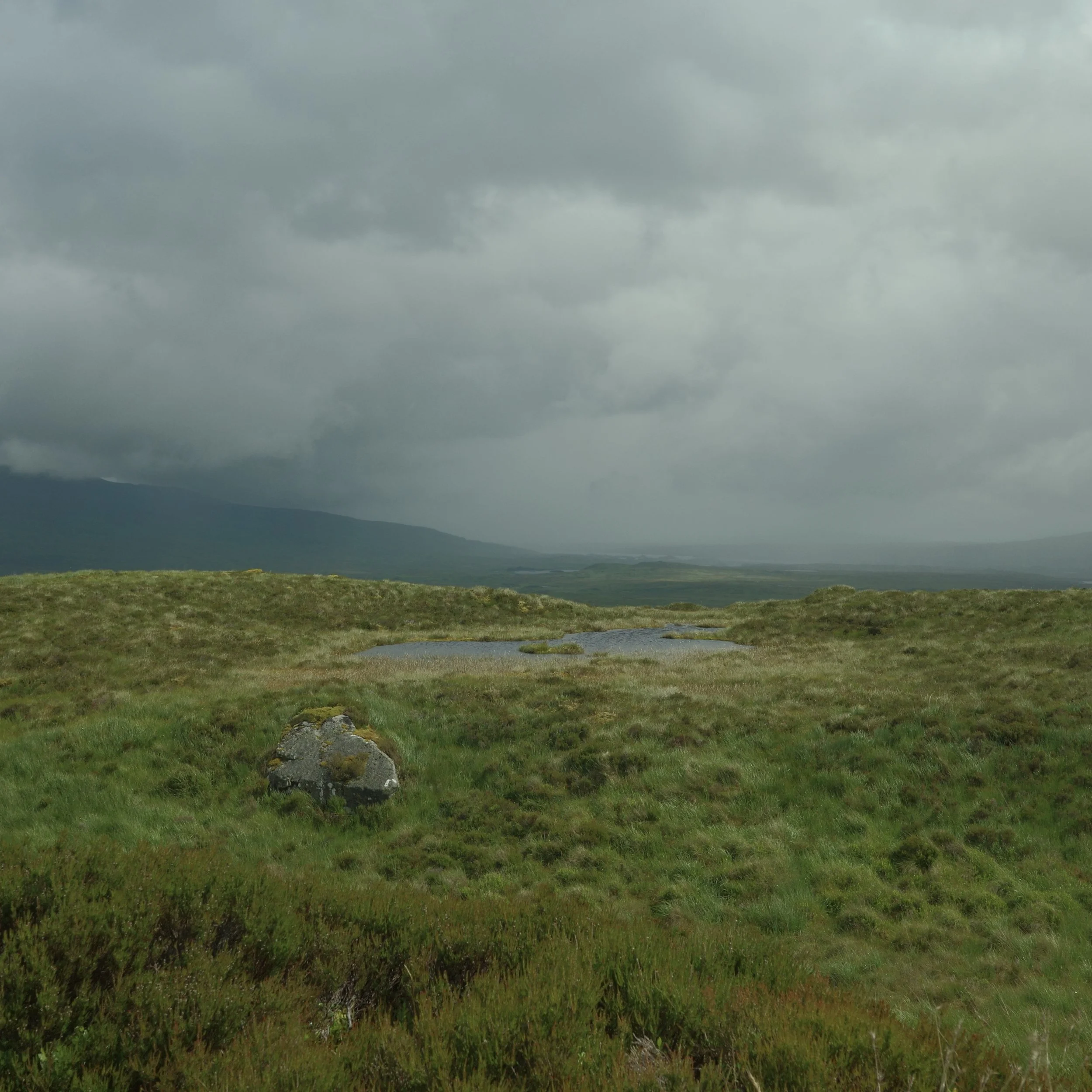 R0003938.jpg