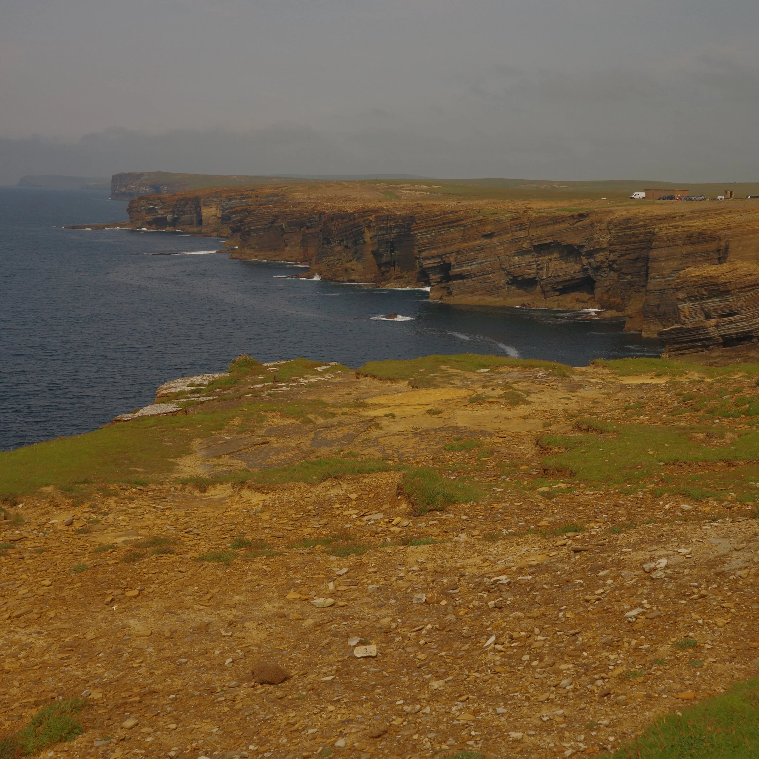 R0004405 2.JPG