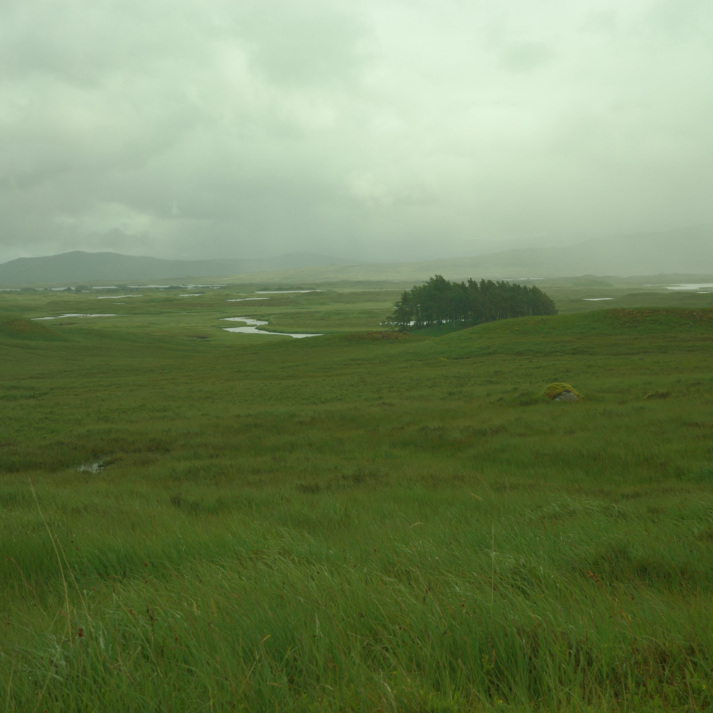 R0003925.JPG
