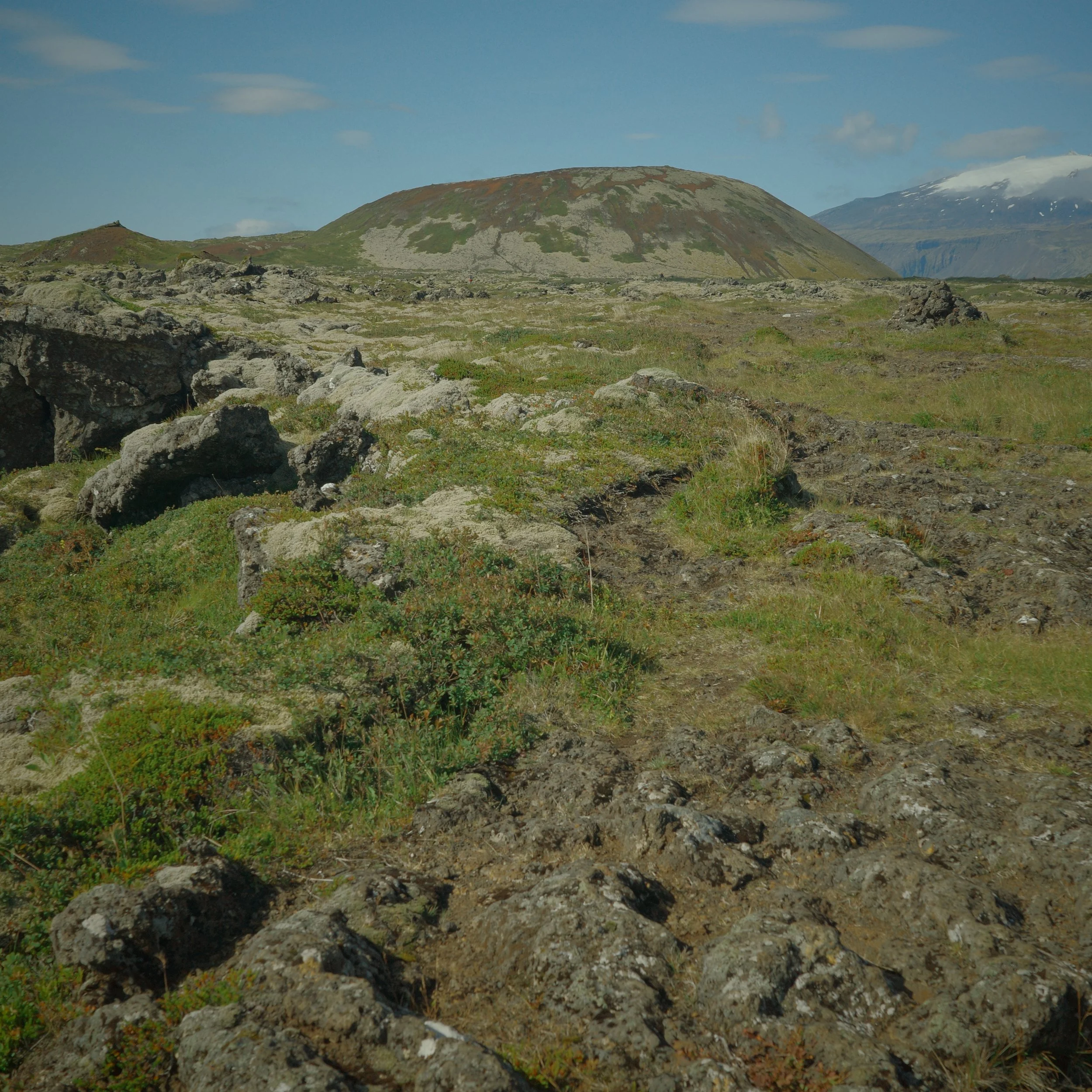 R0007524.JPG