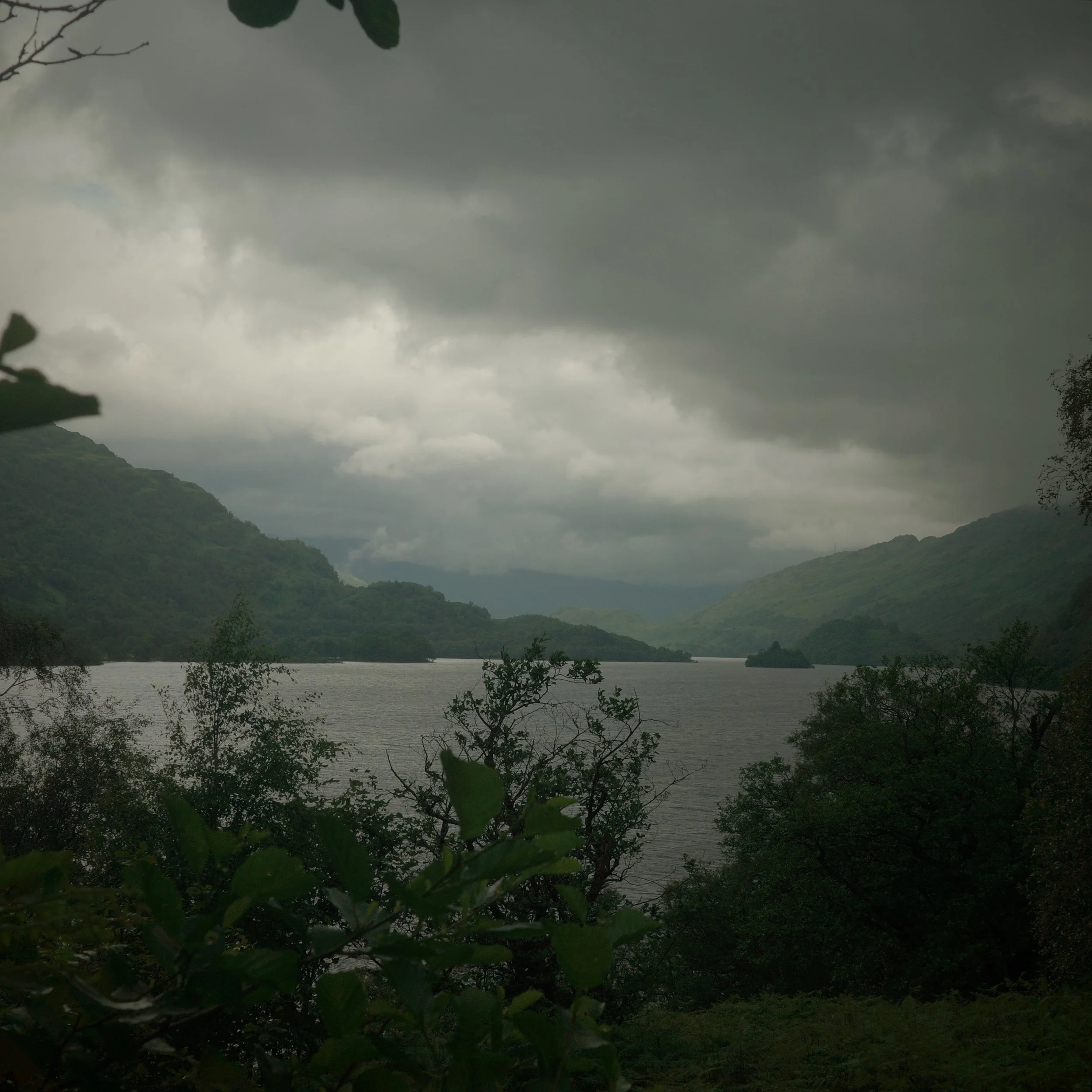 R0003851.jpg