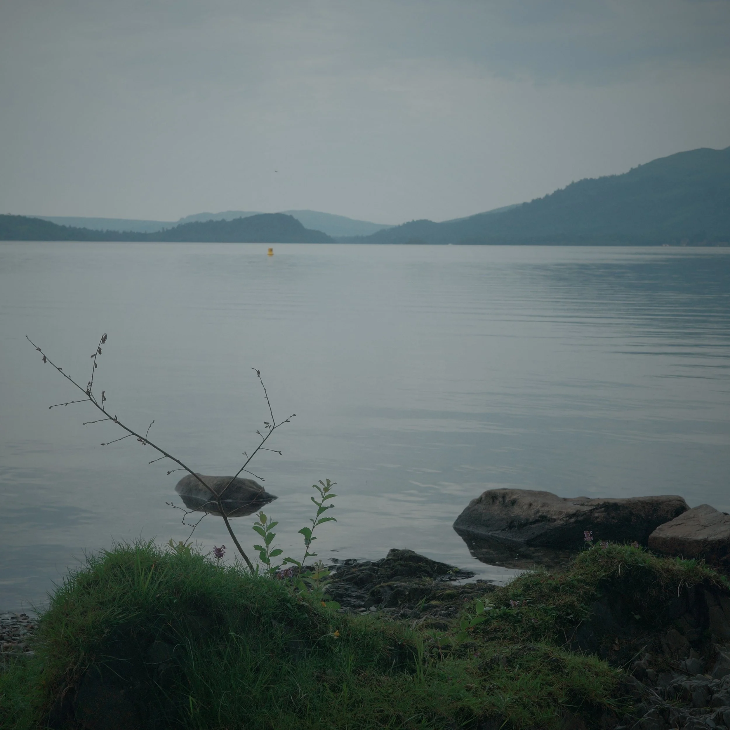 R0003800.jpg