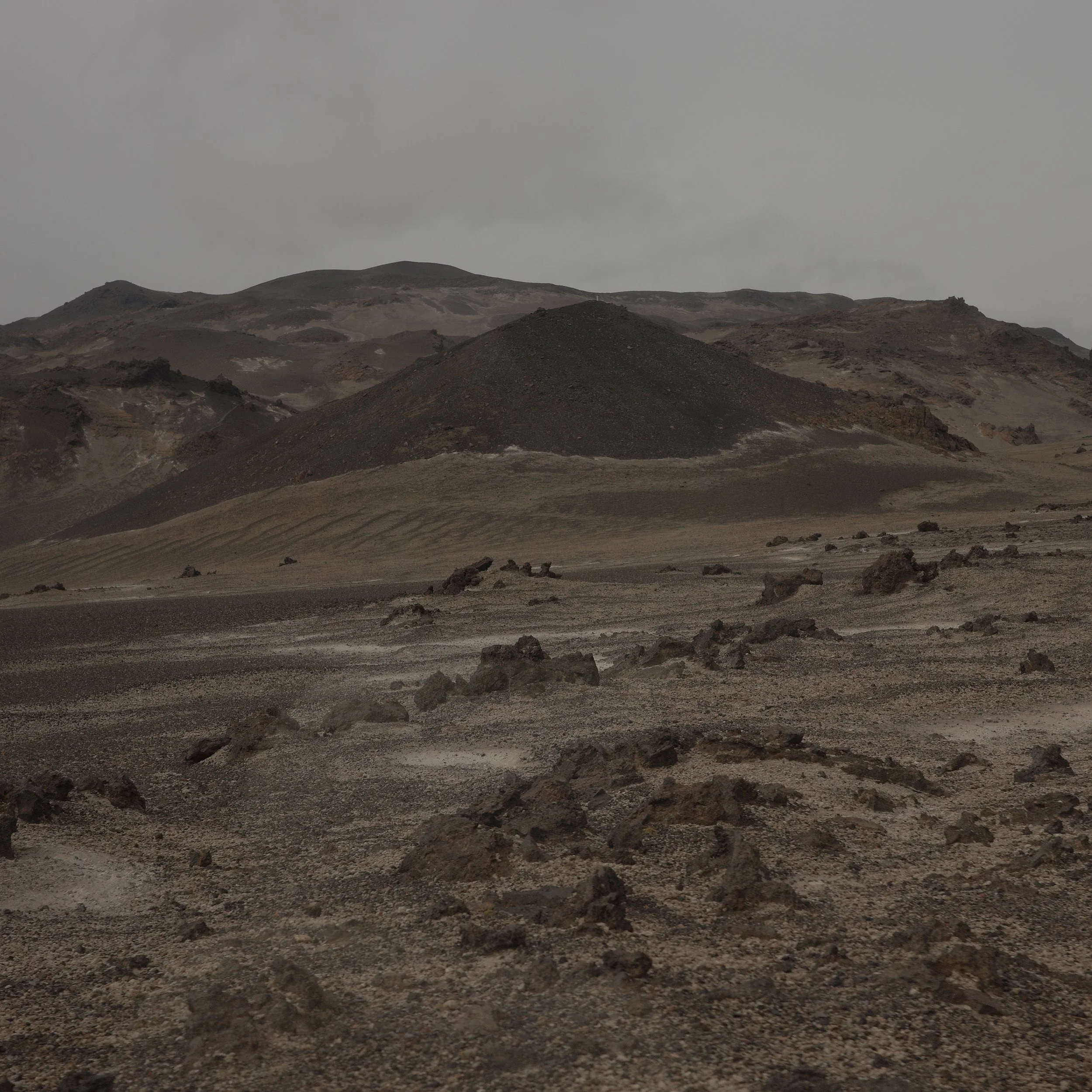 R0007079.JPG