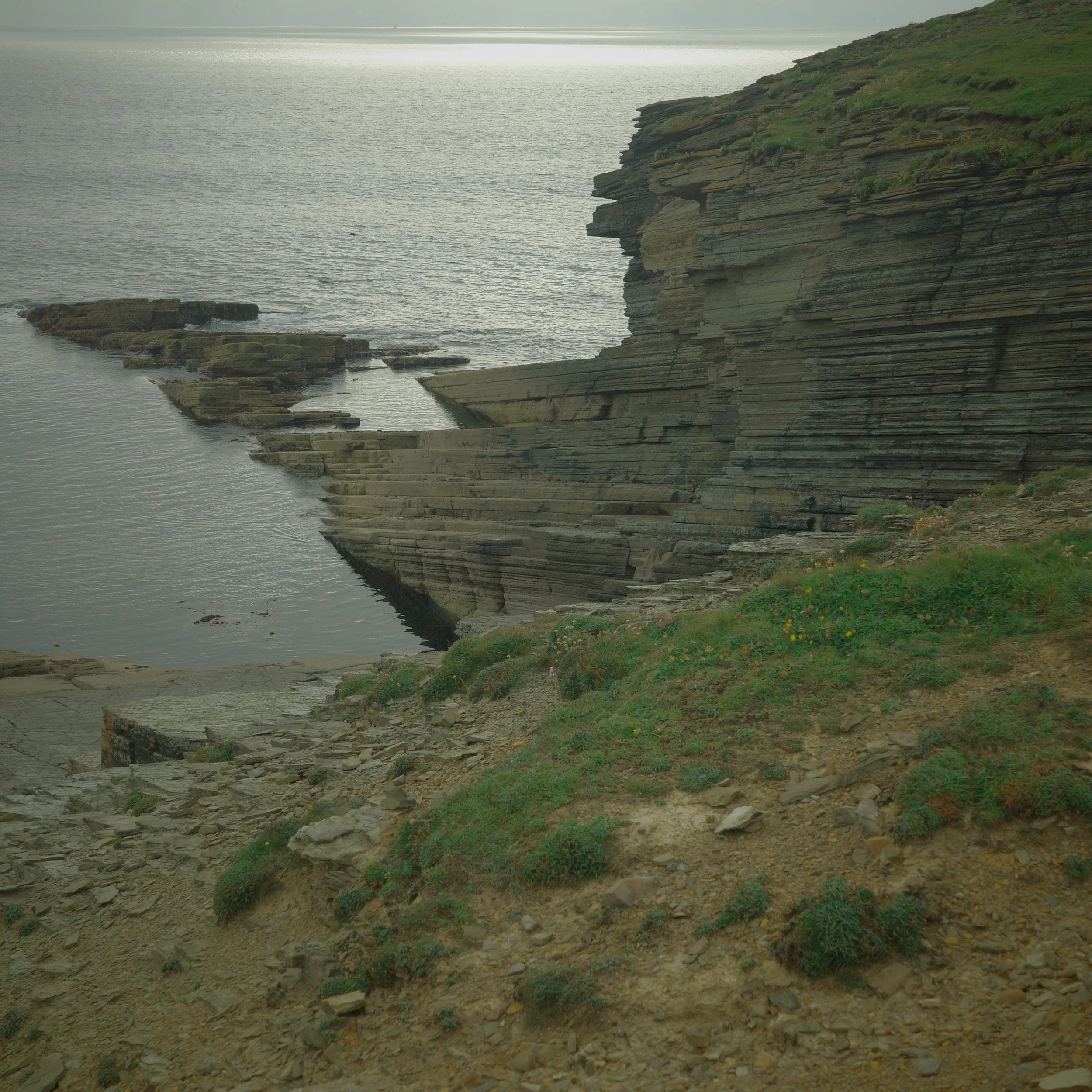 R0004488 2.JPG