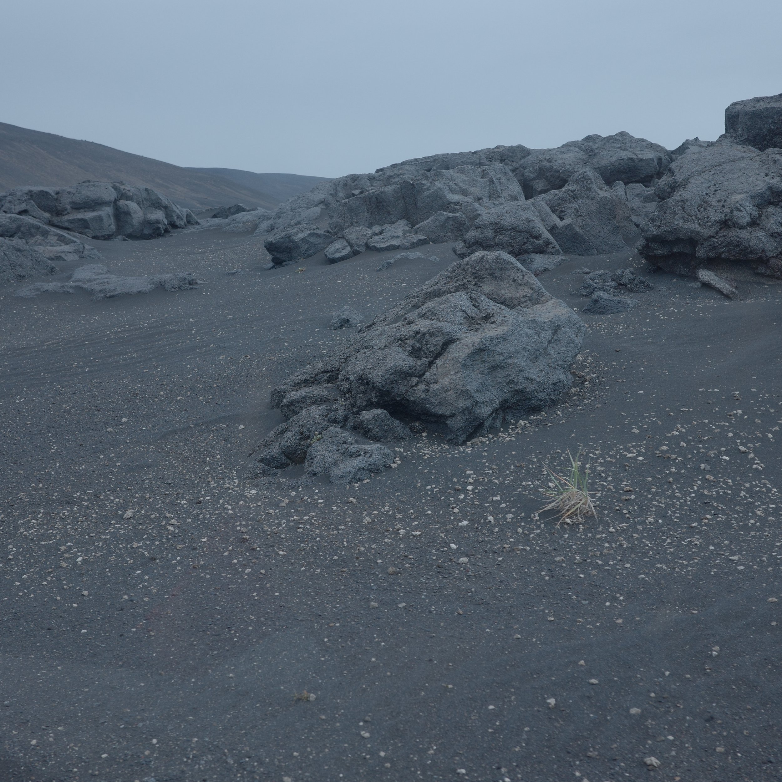 R0007267.JPG