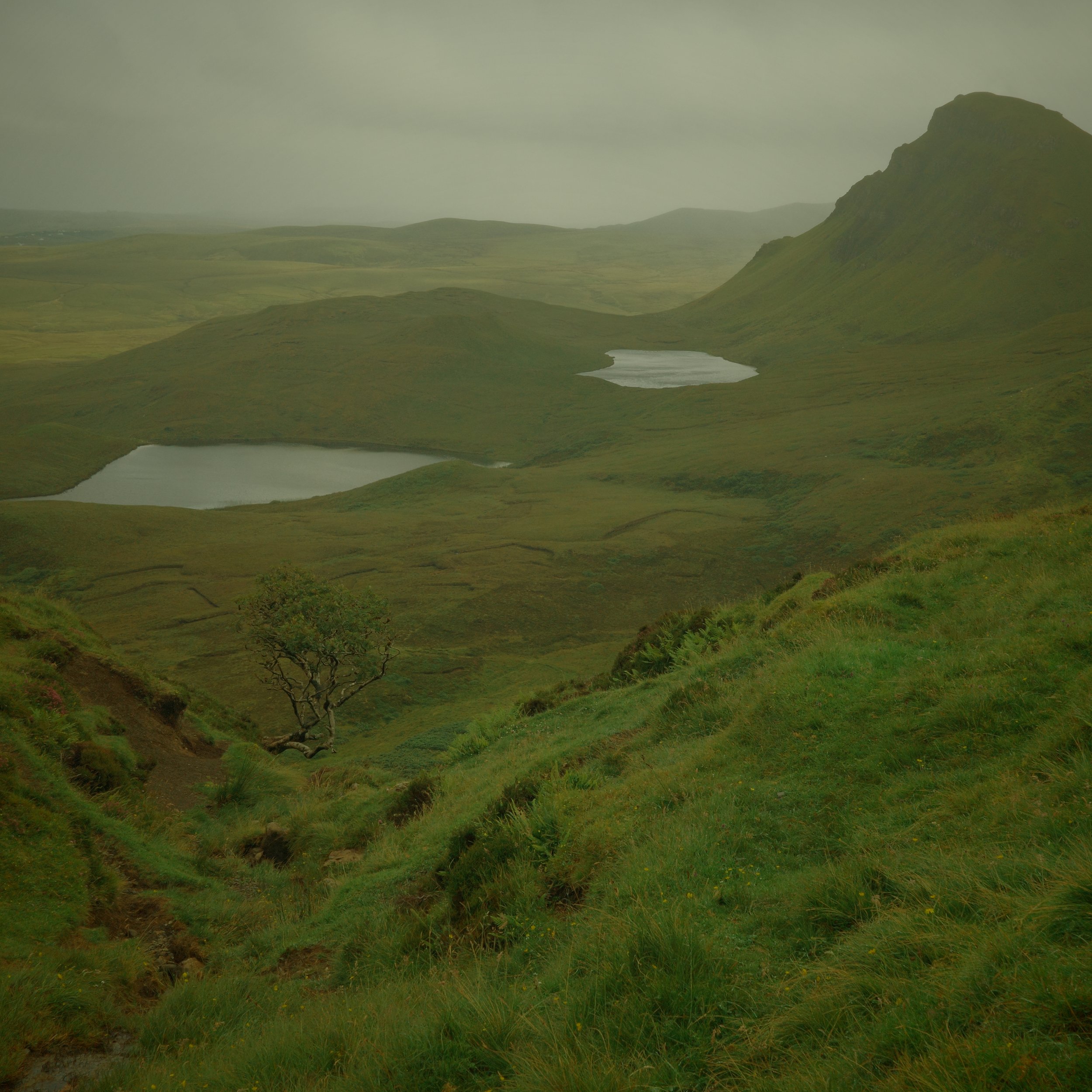 R0004920.JPG