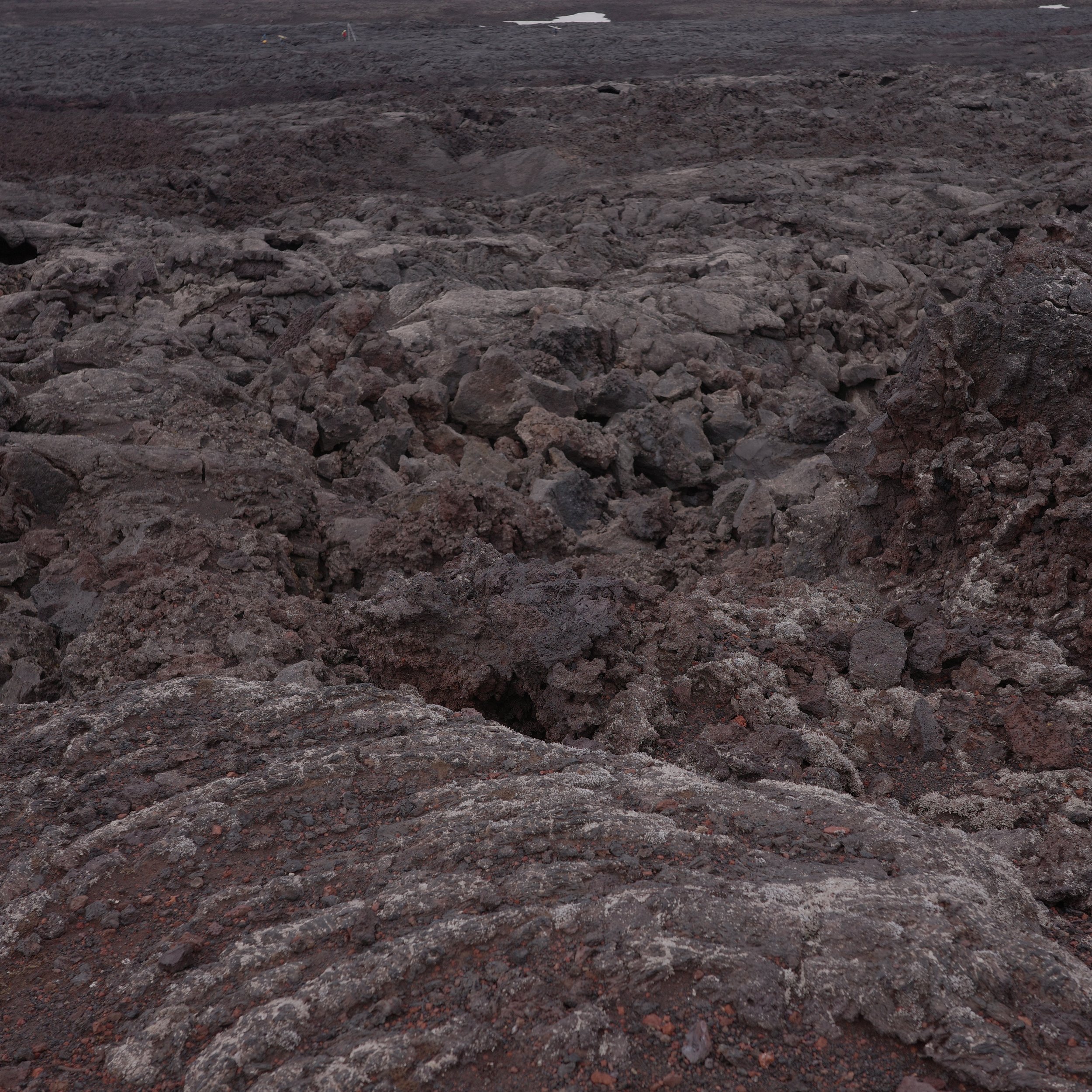 R0007248.JPG