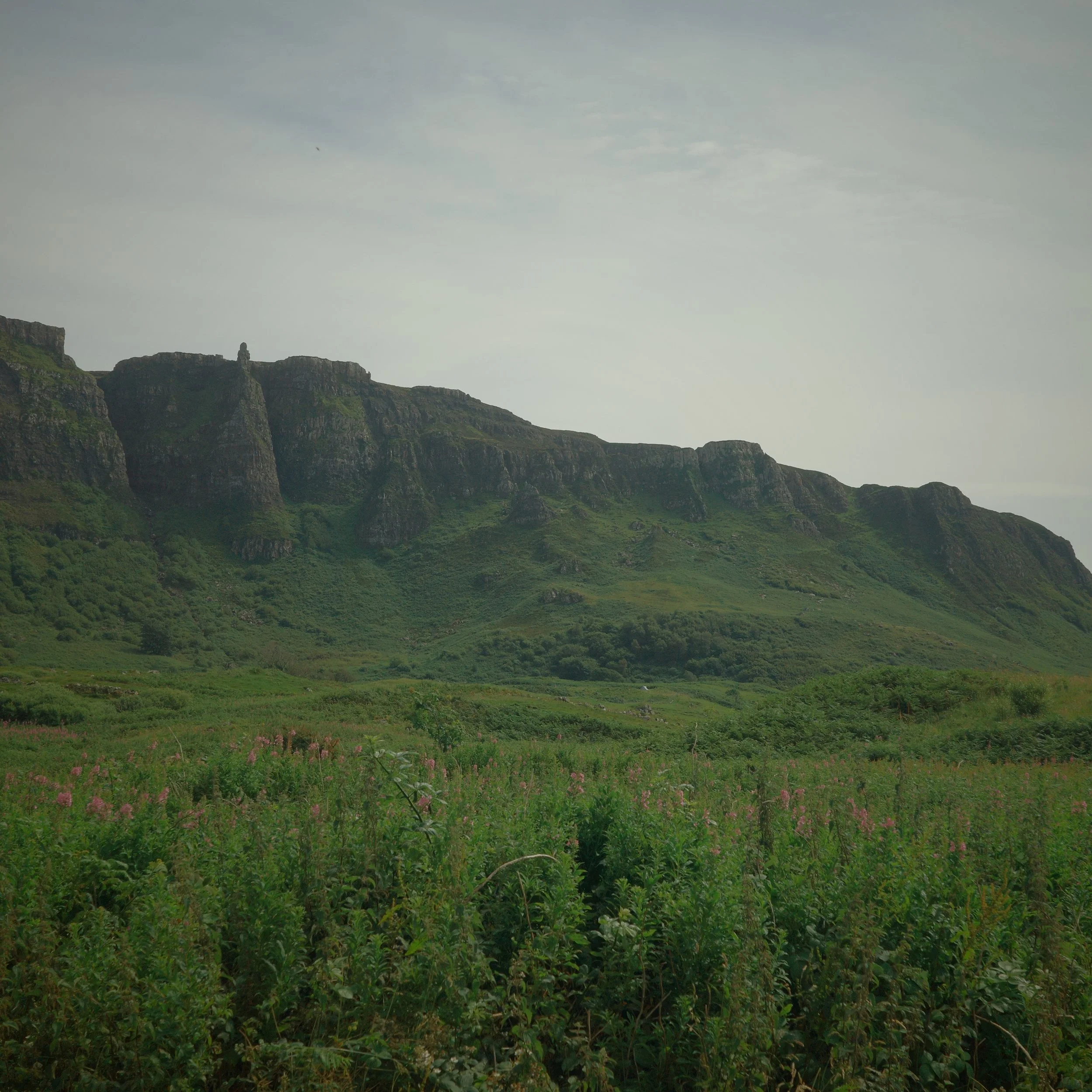 R0004700.JPG